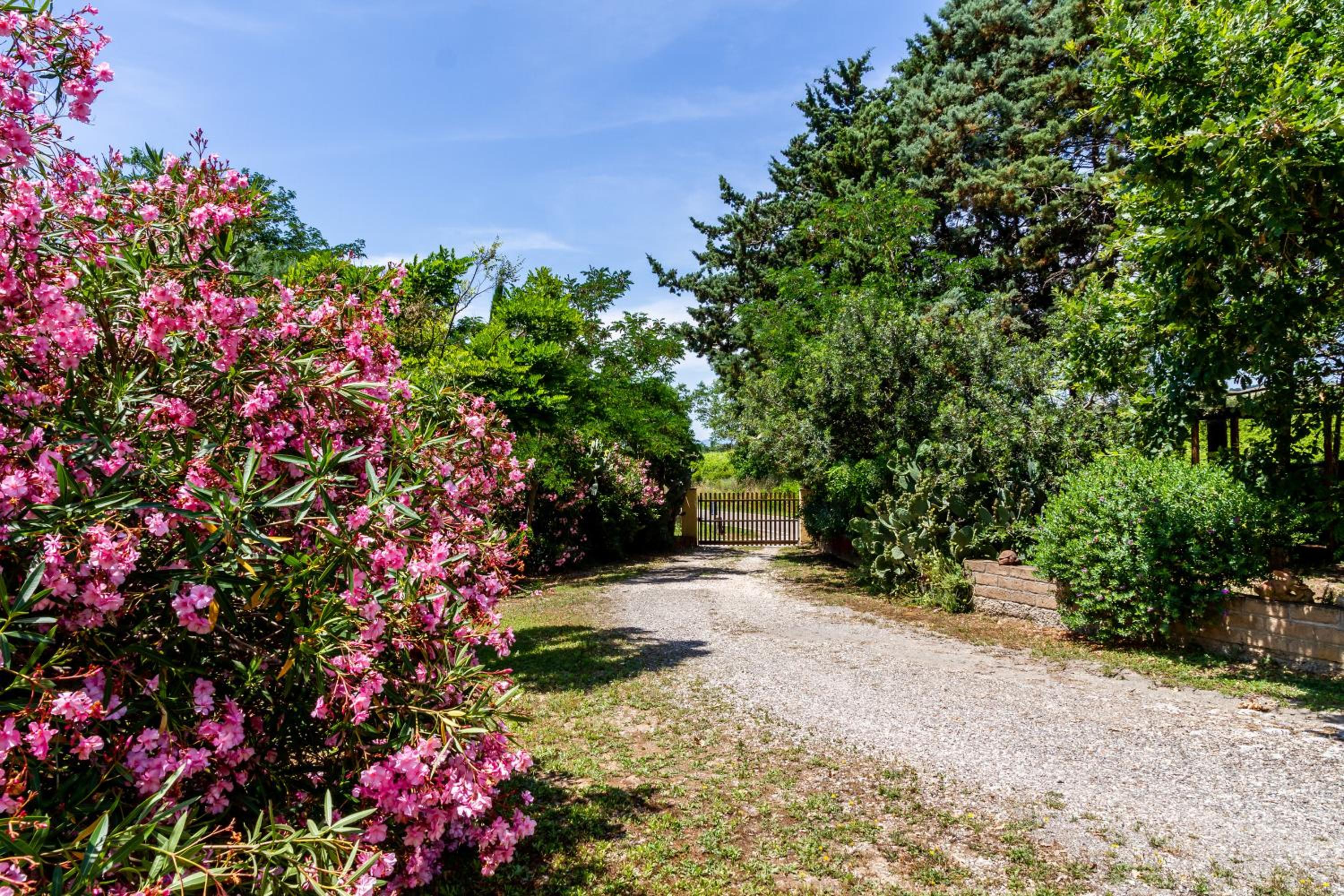 Margherita - Agriturismo La Fattoria view 3
