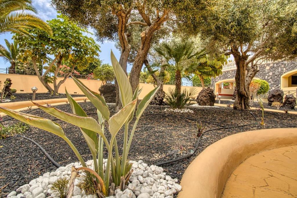 Duplex Paradise Parque Tropical 1 Los Cristianos