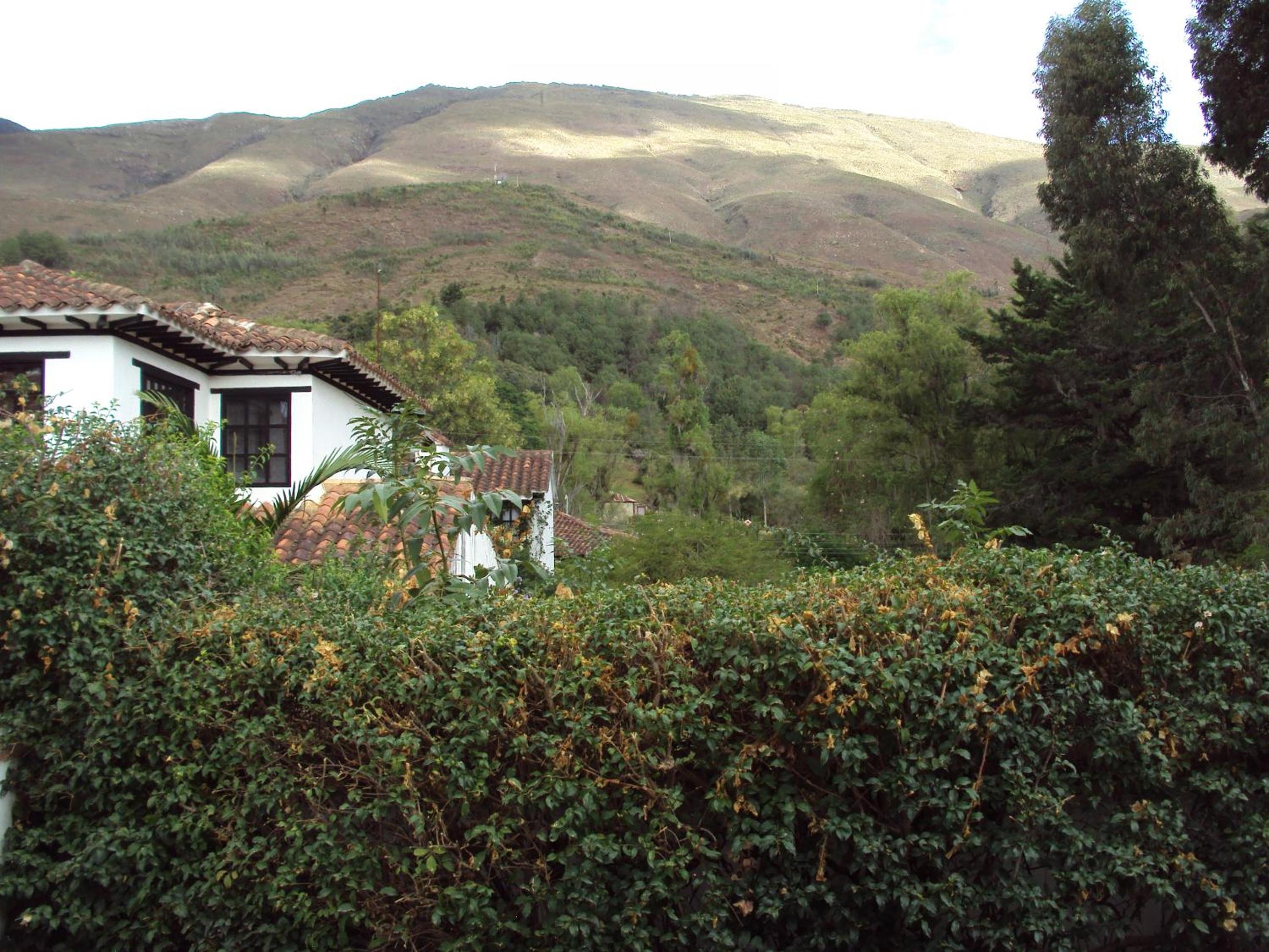 Casa Leo
