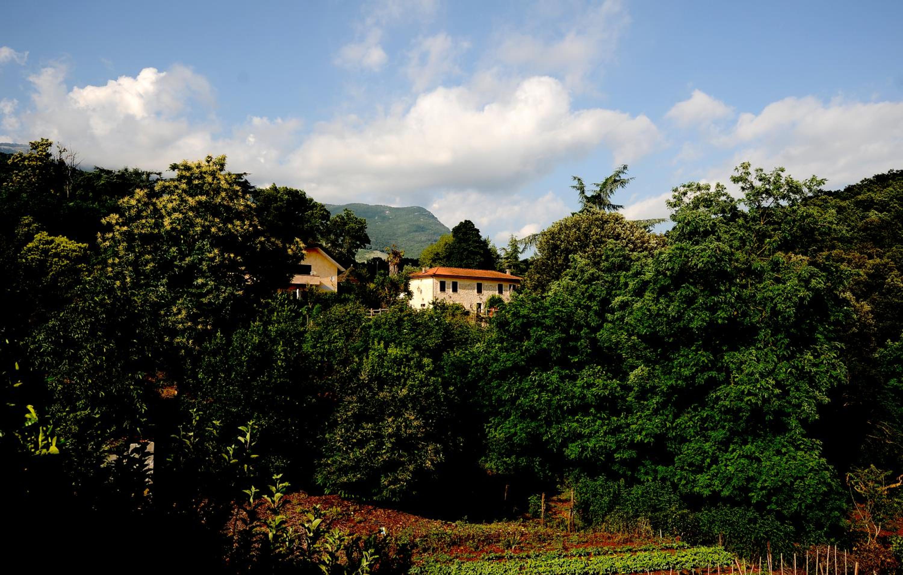 COUNTRY HOUSE photo 5