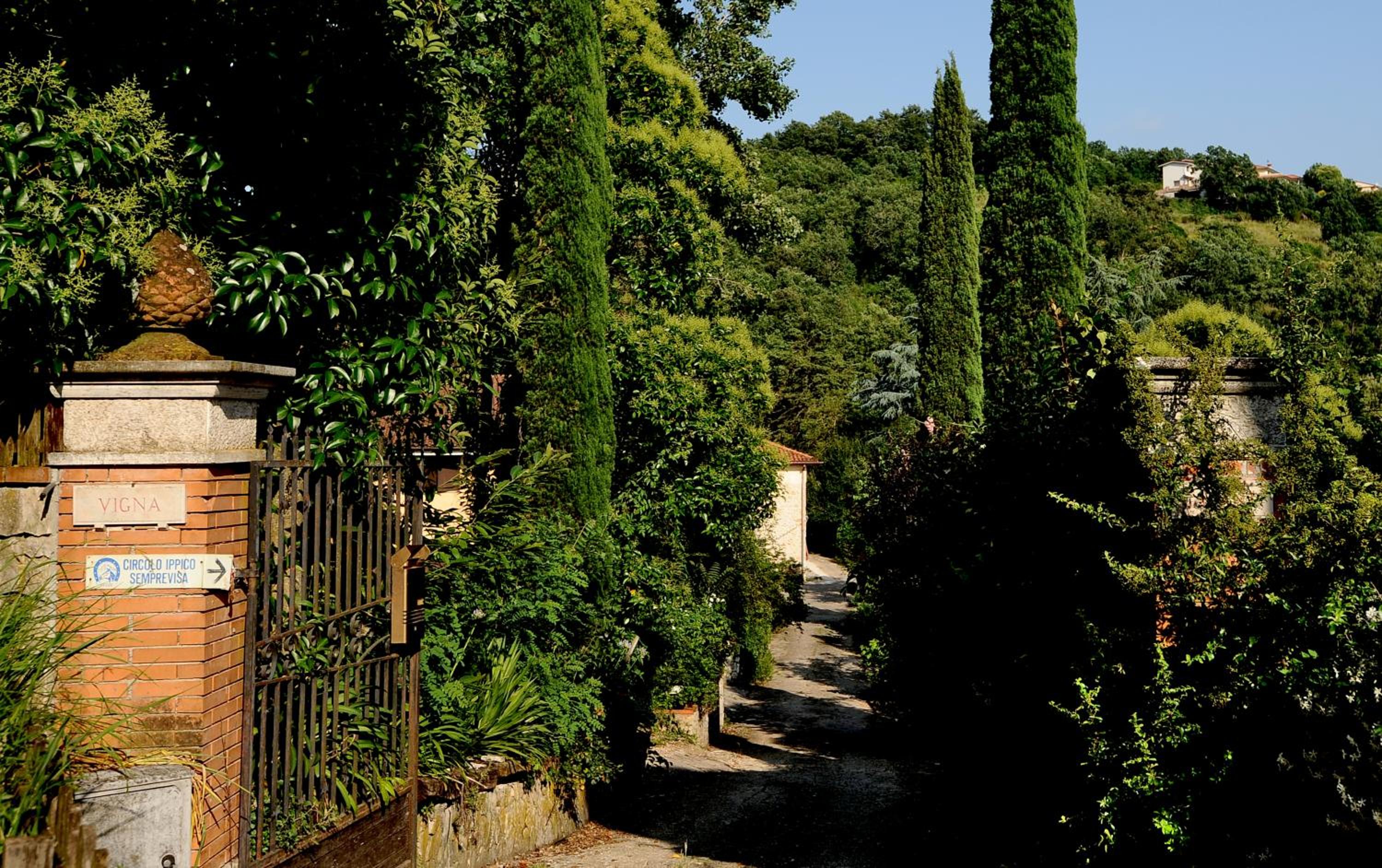 COUNTRY HOUSE photo 4