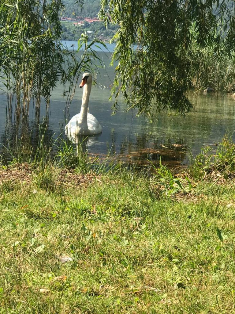 Photo 58