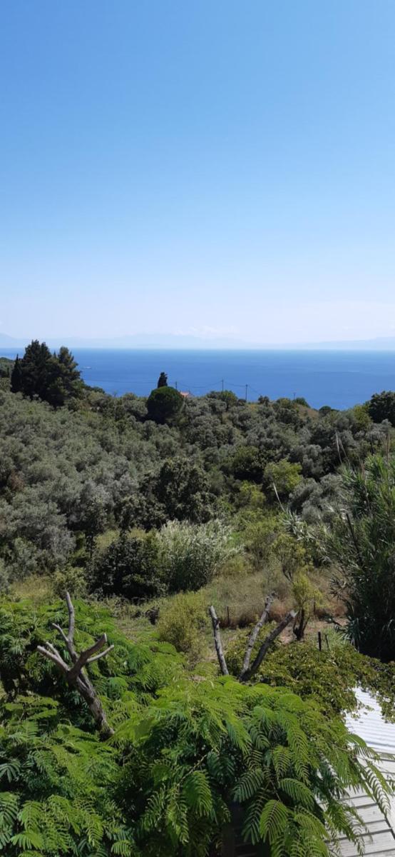 Pansion Platana view 4