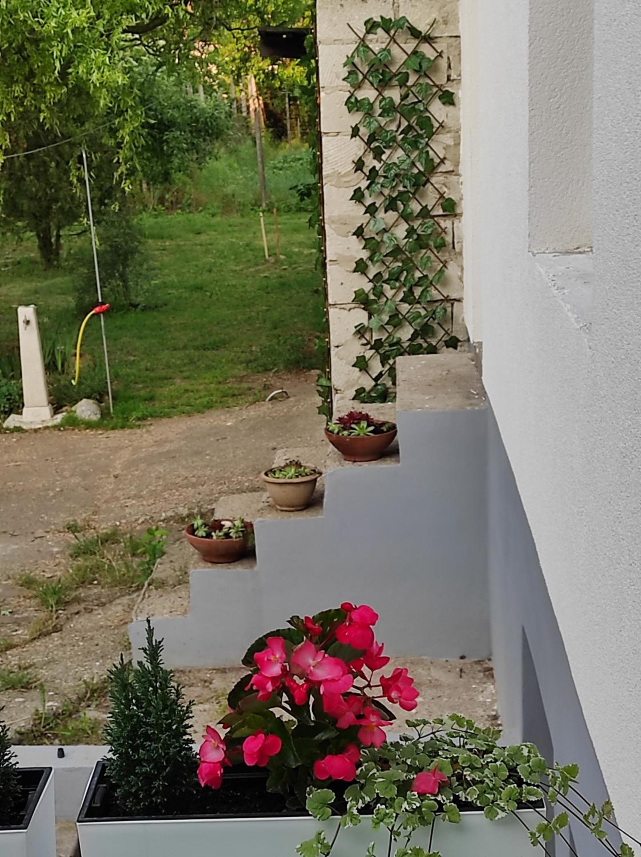 Szomolyai Vadvirág vendégház