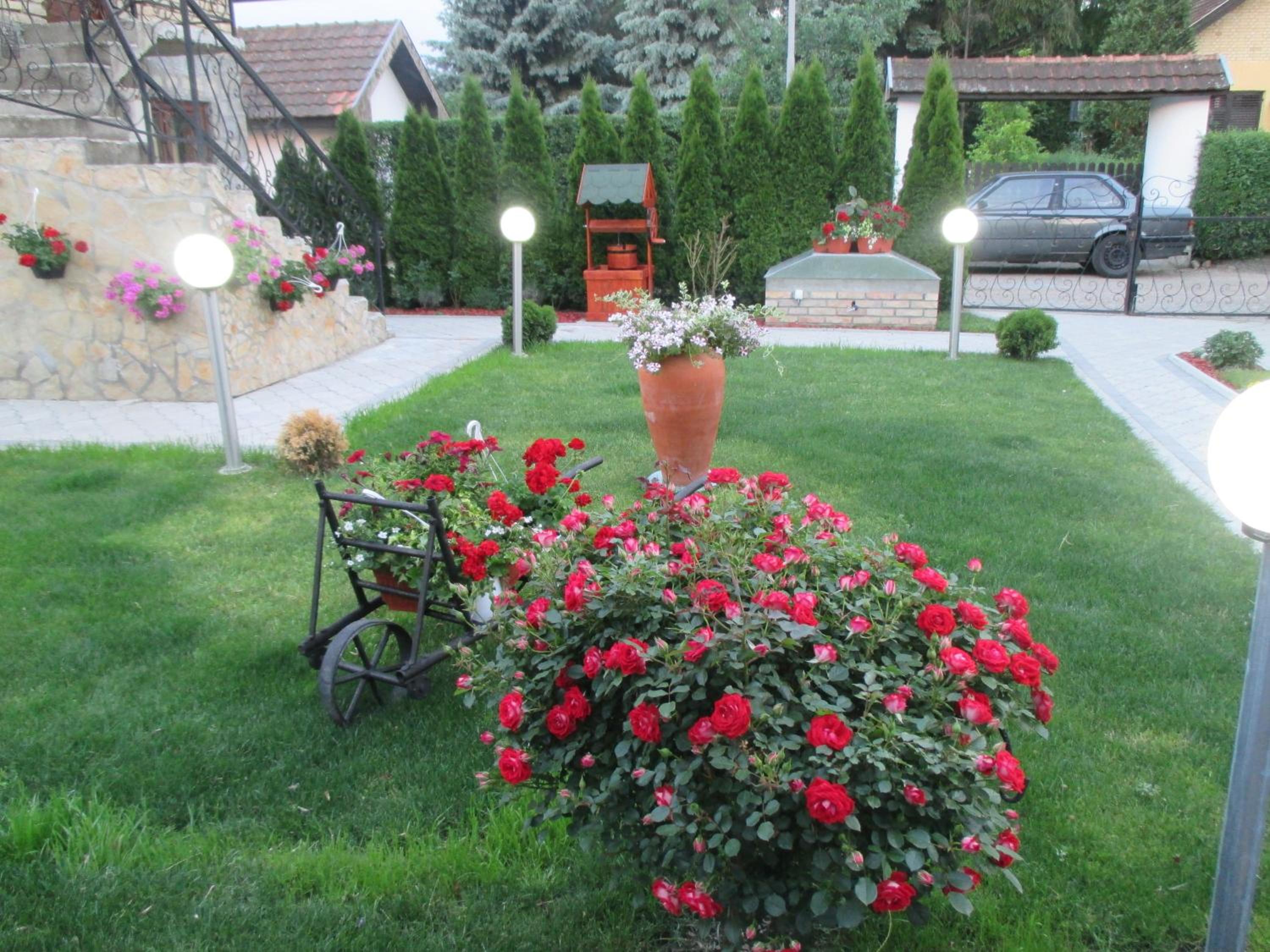Photo 50