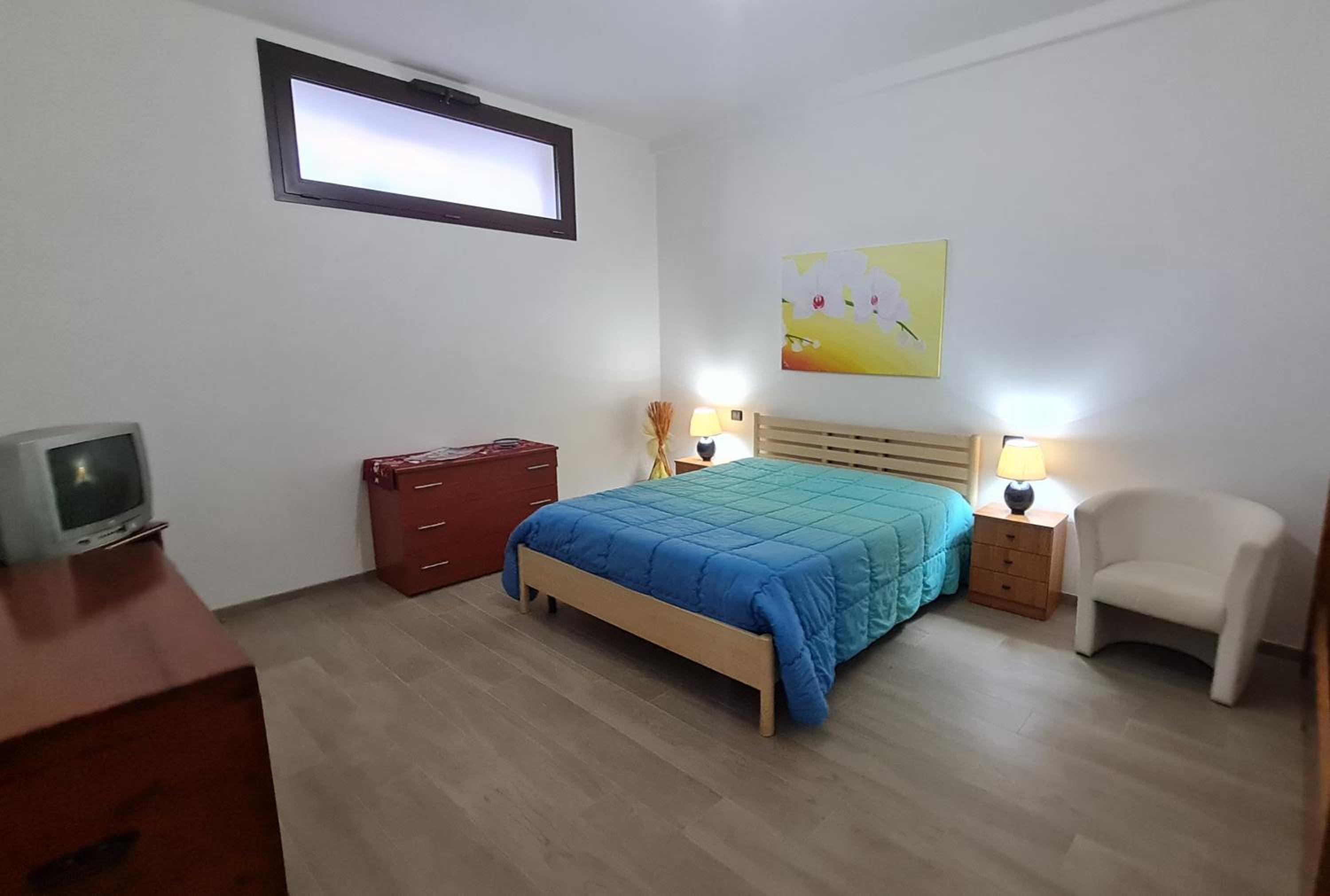 Dasylirion Vacanze