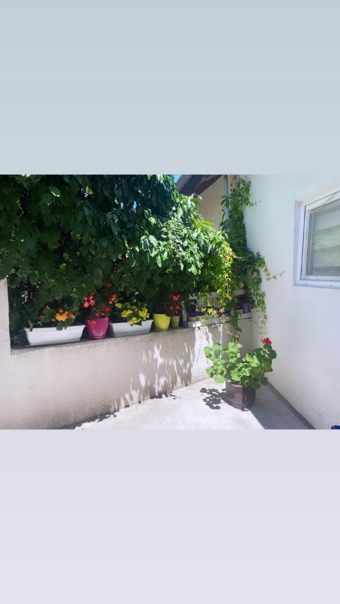 Galeb Apartment Ohrid