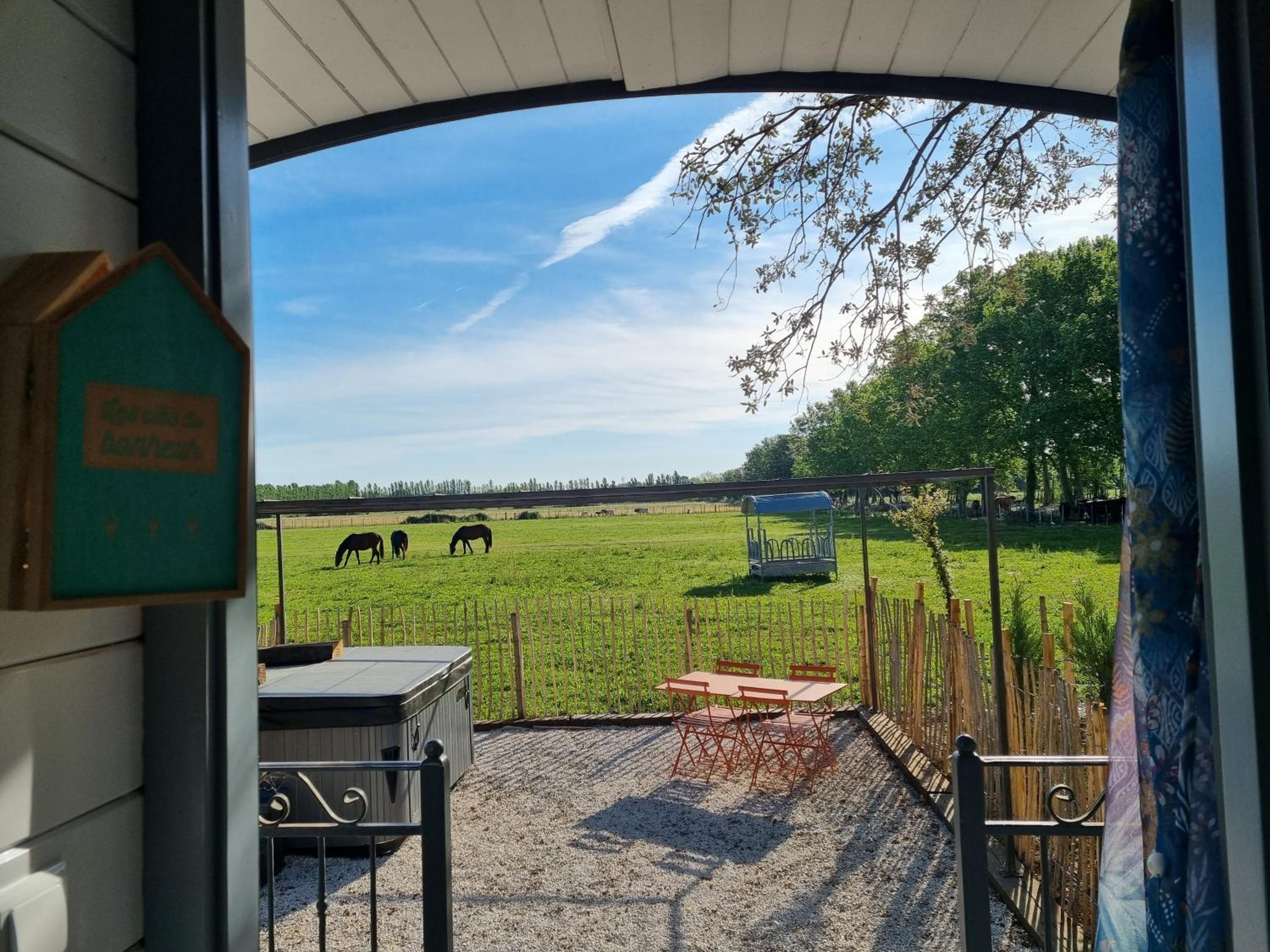 Domaine de la Tapie de Bouchet - en Camargue