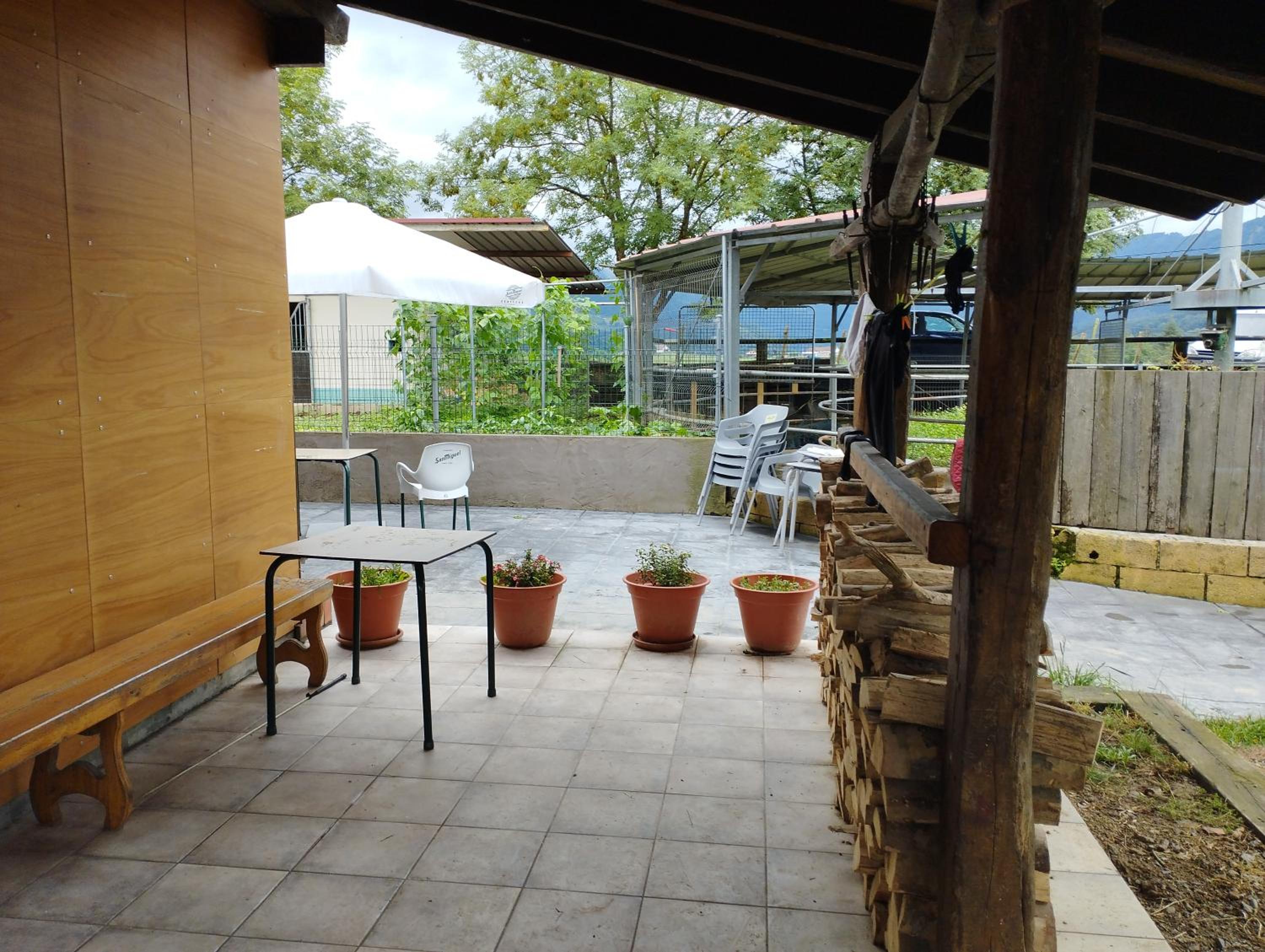 Photo 6