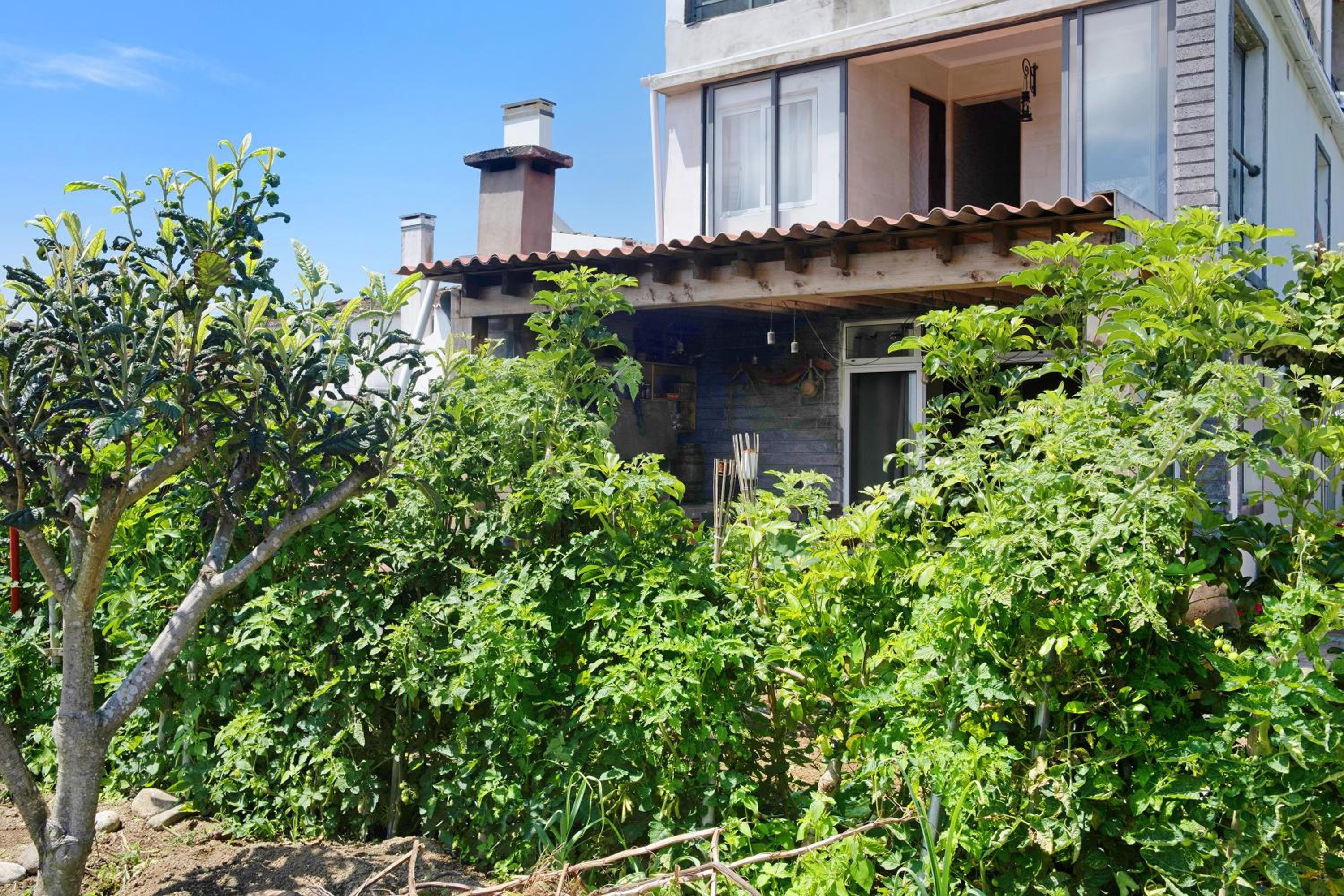 Casa de Férias Garrett view 5