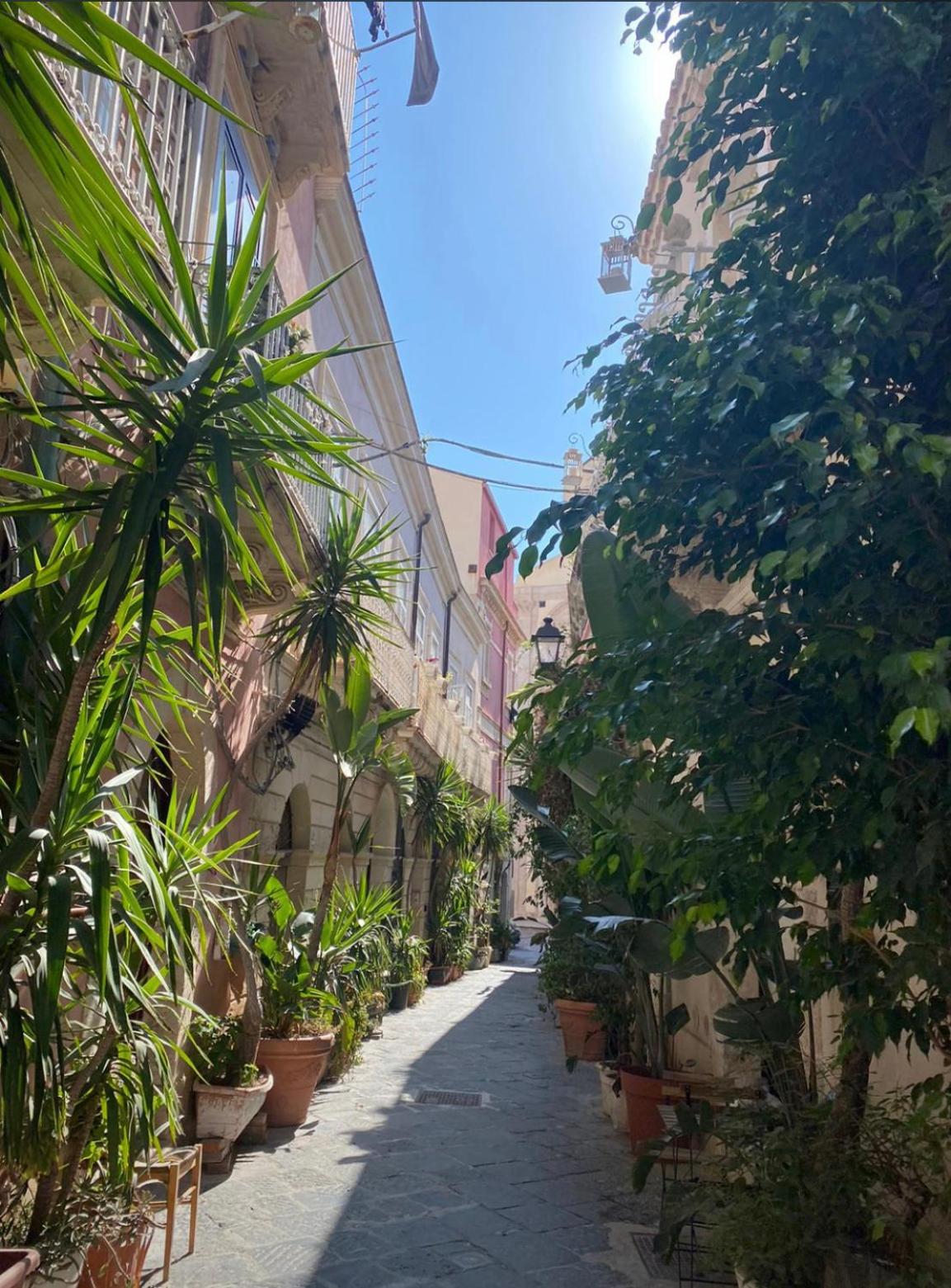Magica Ortigia