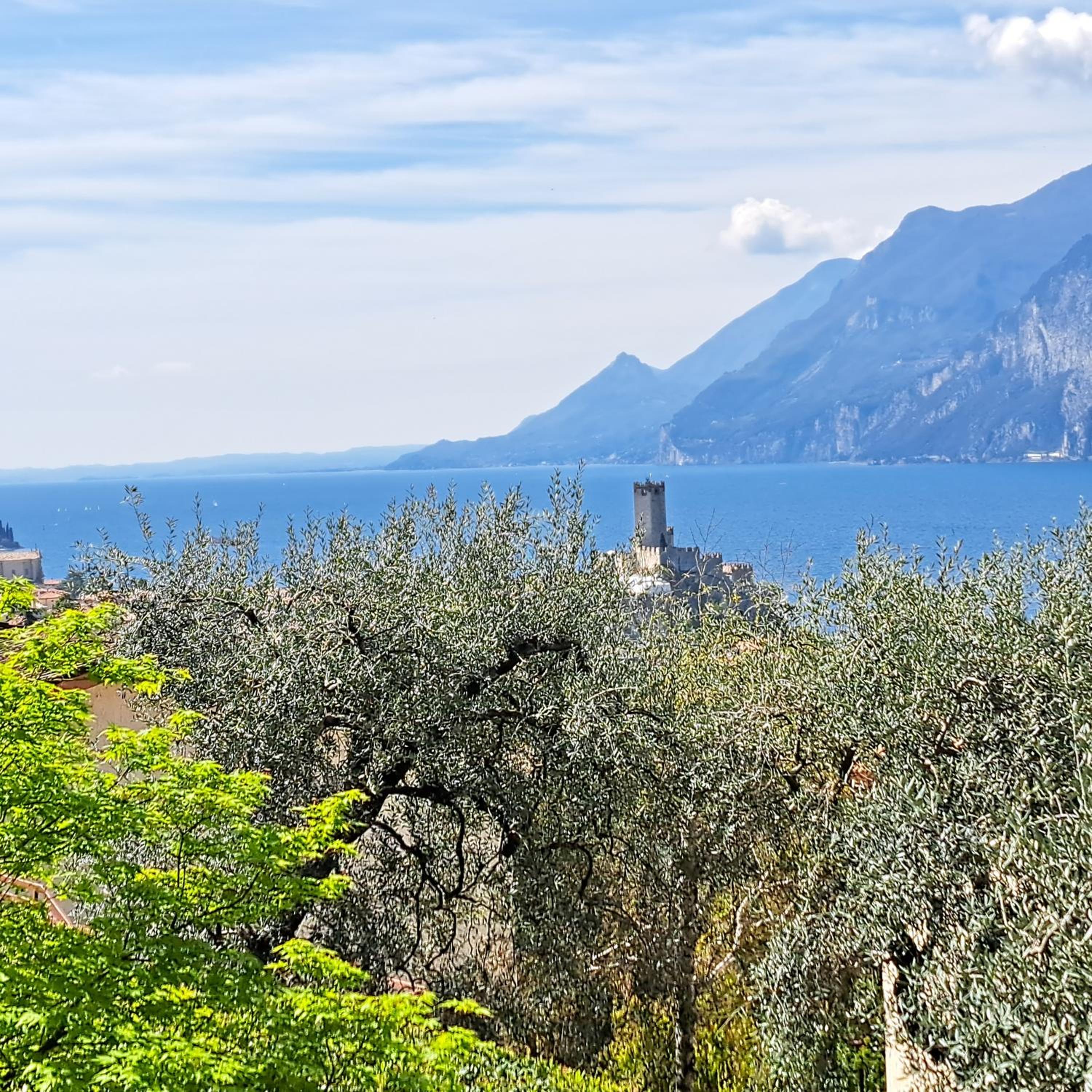 RESIDENCE KORMORANO MALCESINE