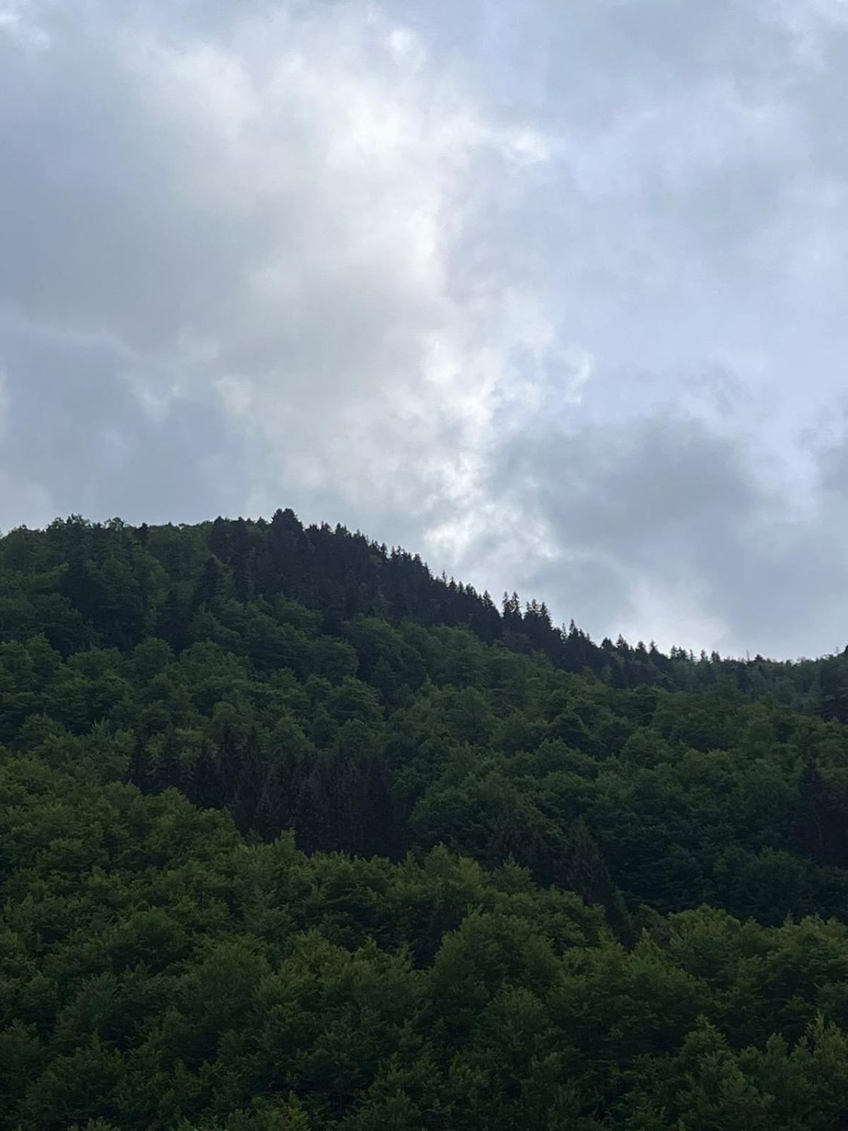 Vikendica GORSKI VUK Jelovica