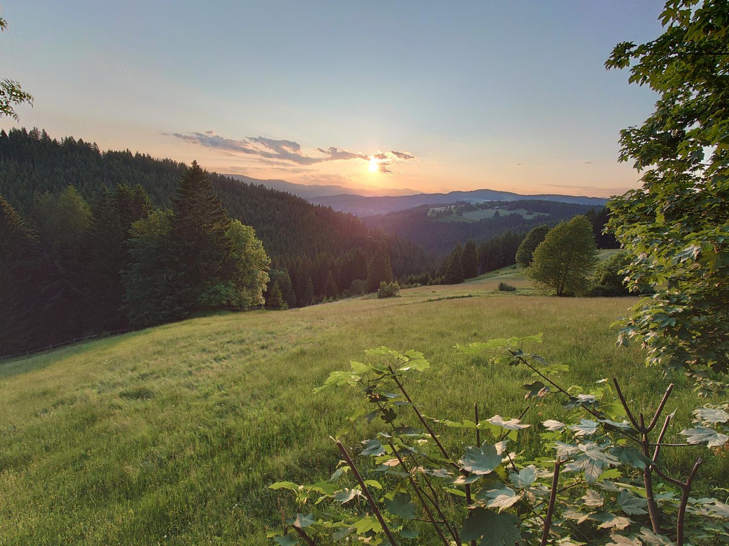 Forsthaus Pracken