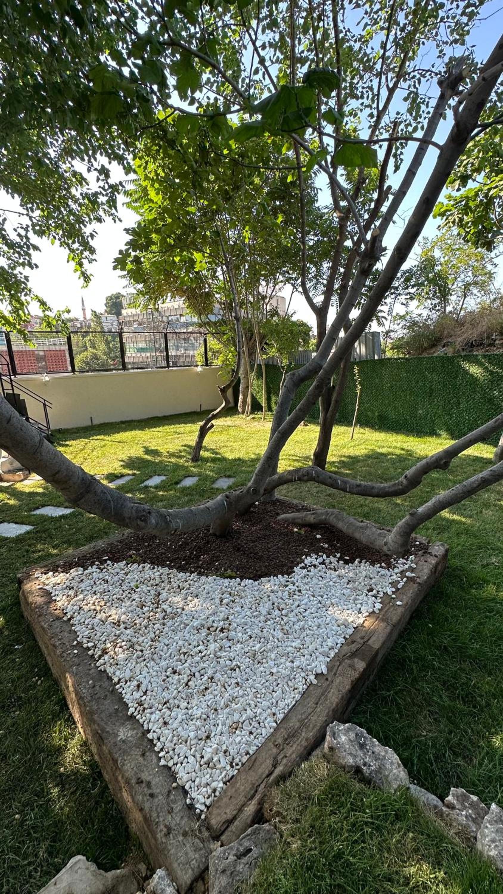 Mar Boutique Daire - Image 5