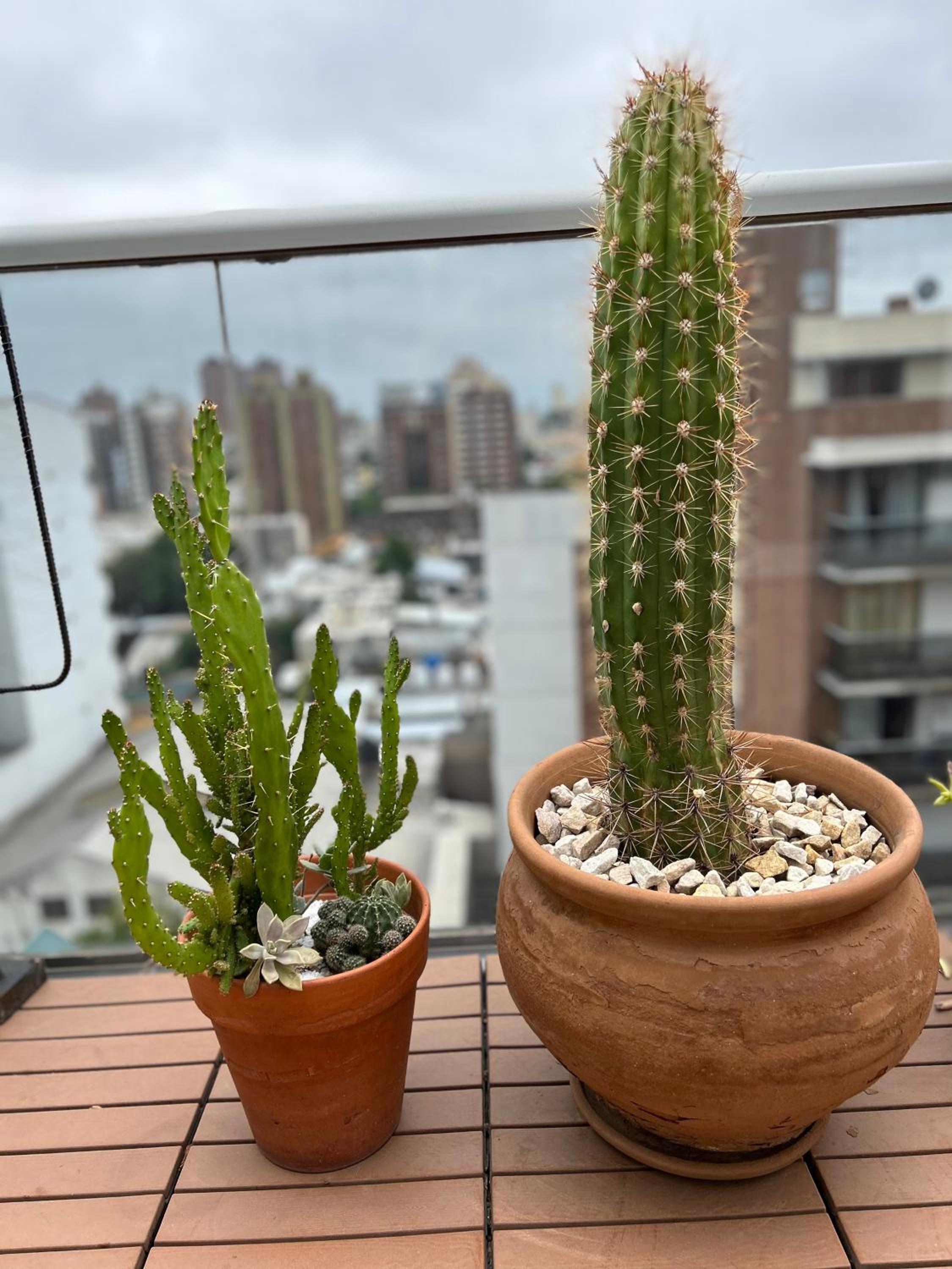 Triplex en Córdoba Argentina