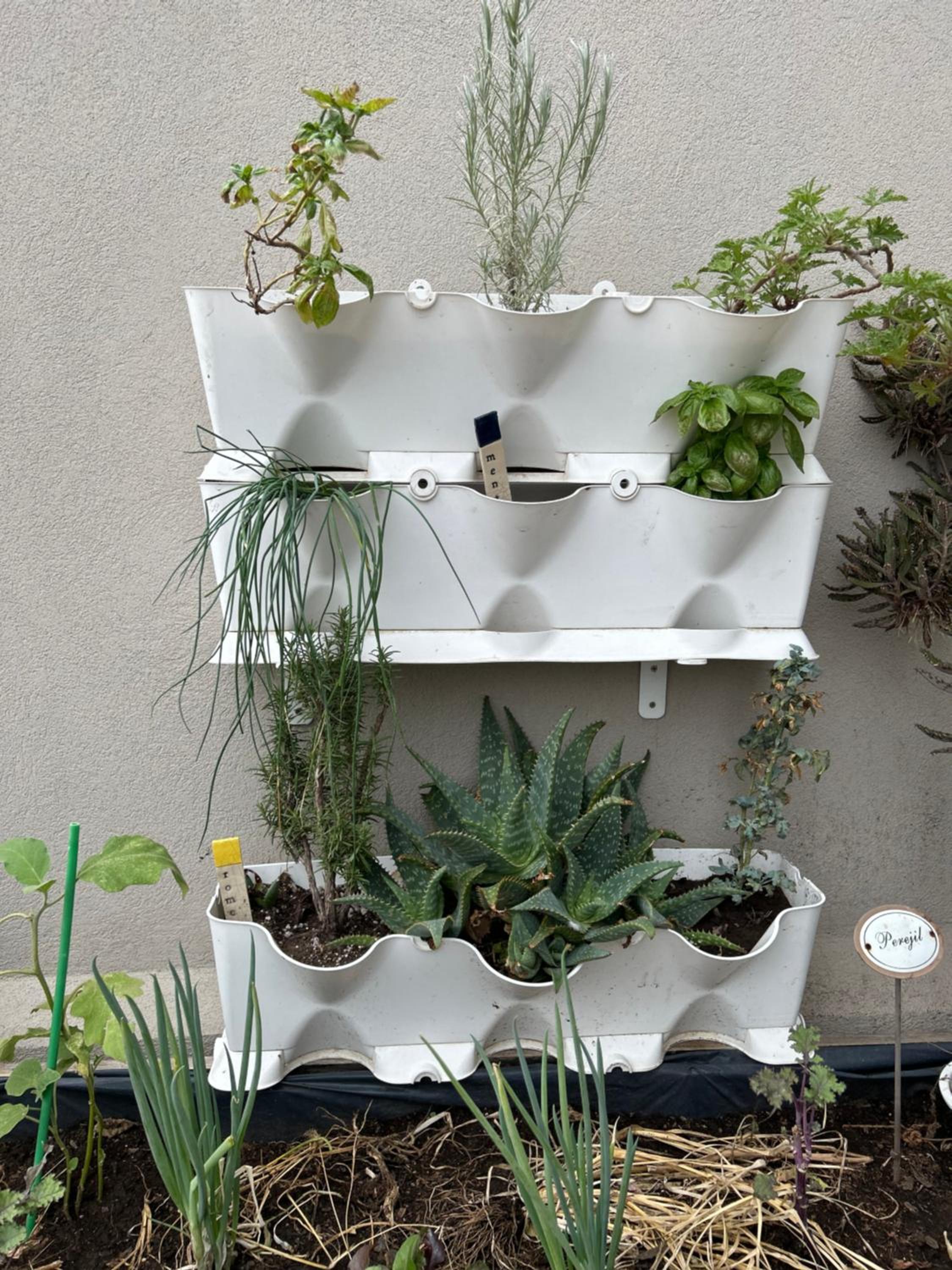 Triplex en Córdoba Argentina