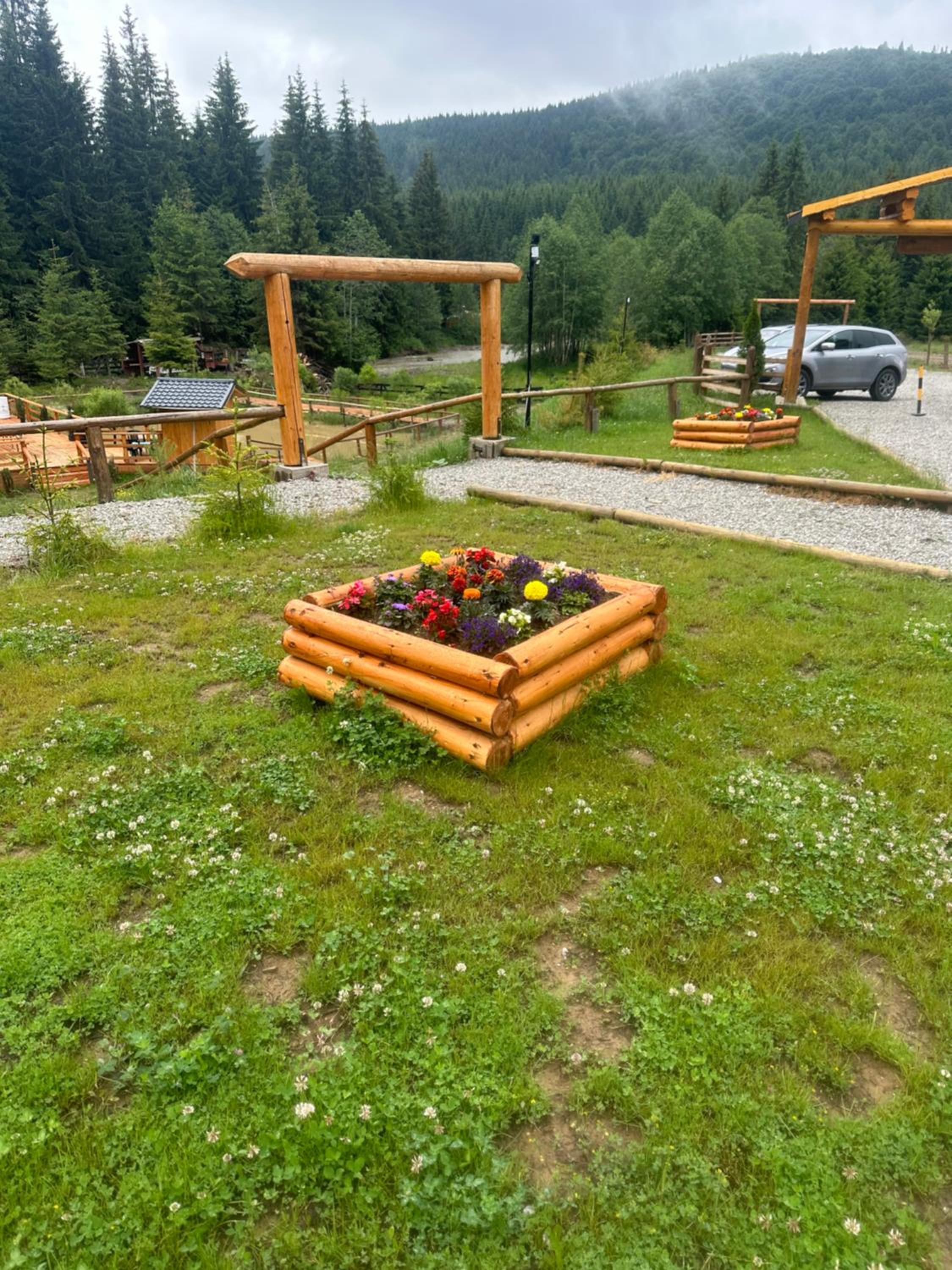 CLUBUL DACILOR