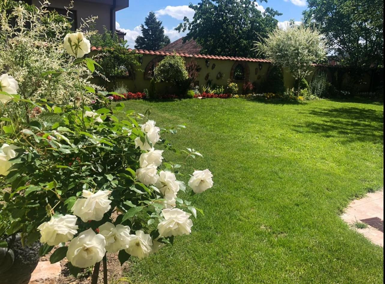 Photo 31