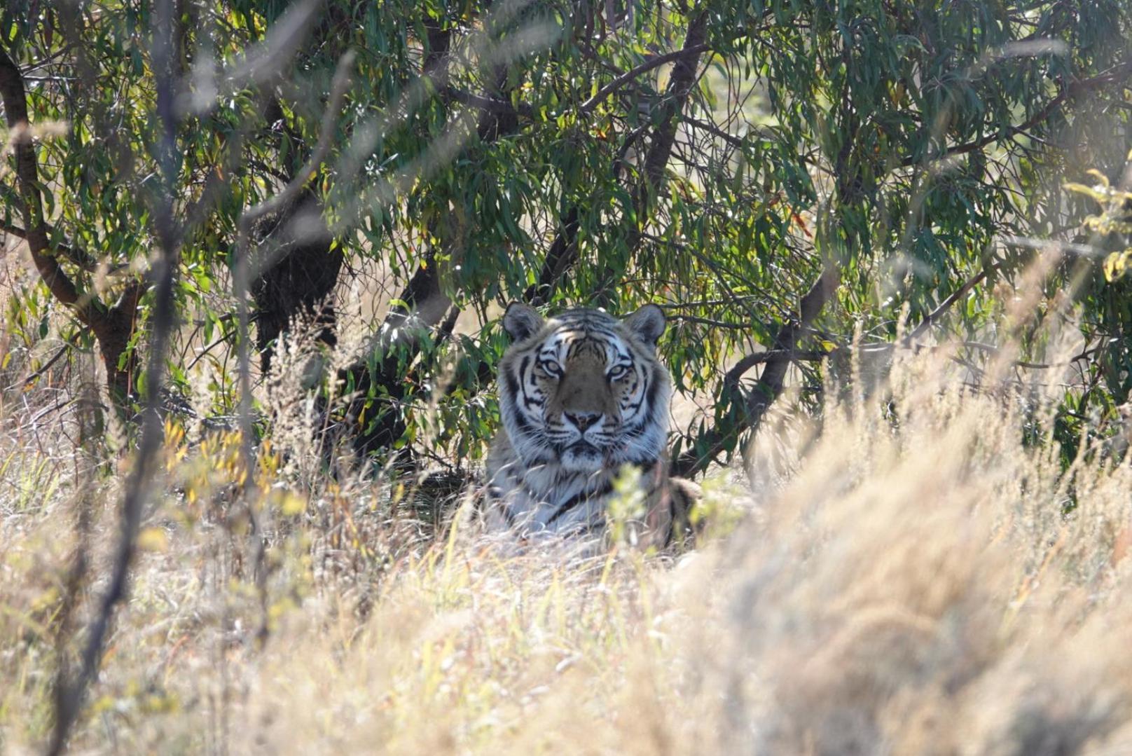 Schrikkloof Private Nature Reserve, home of The Lions Foundation view 2