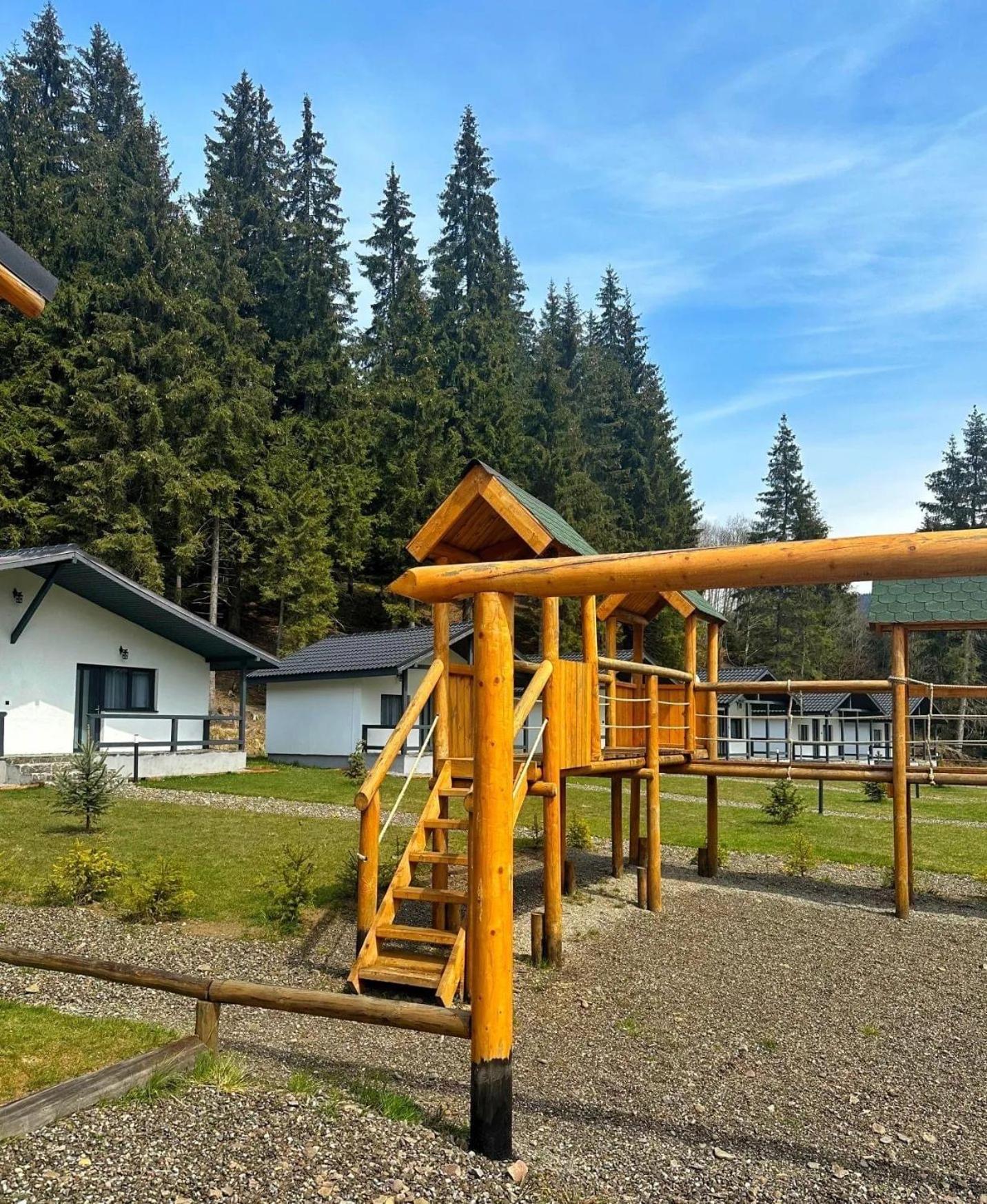 CLUBUL DACILOR