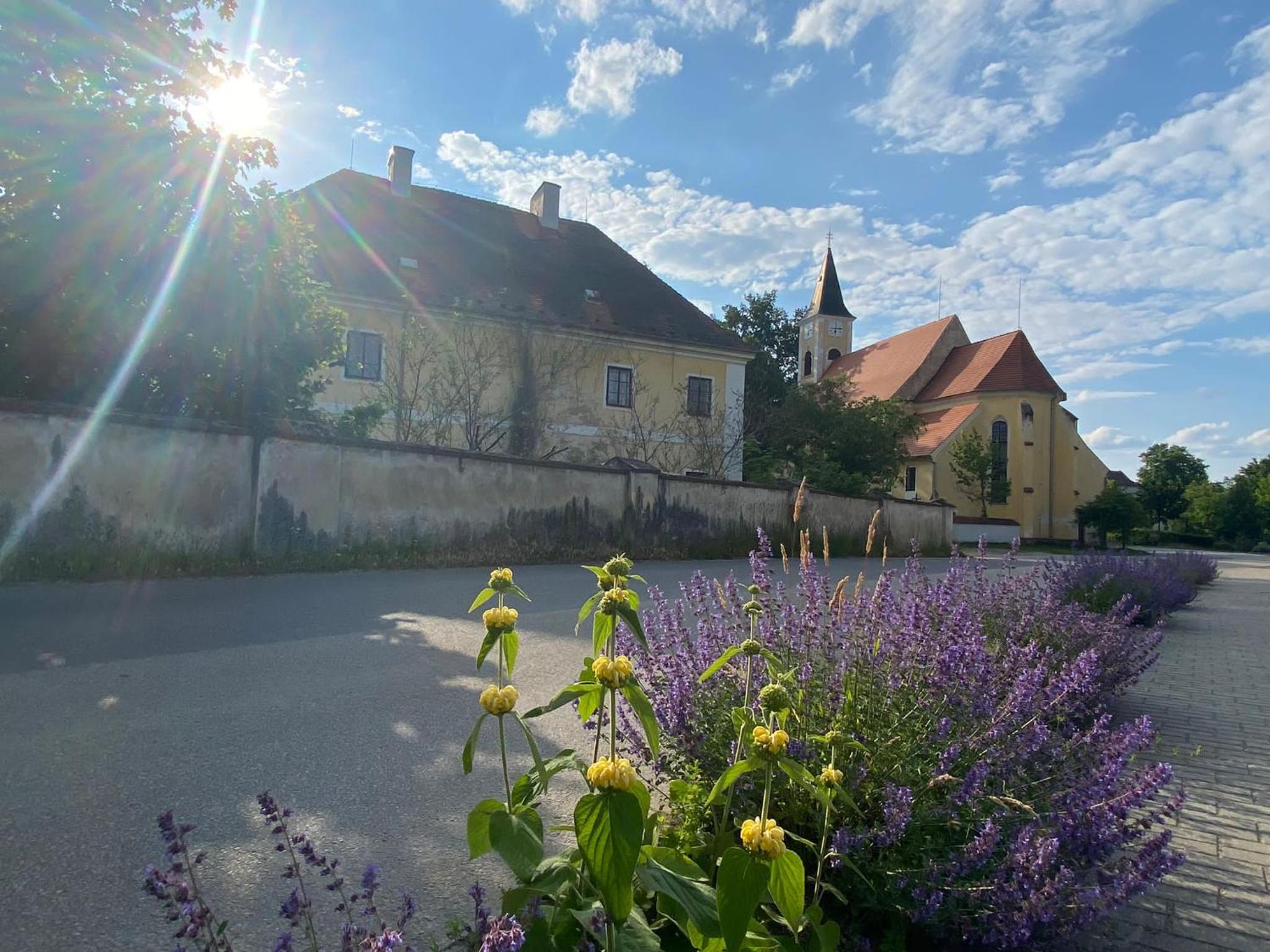 Apartmán BENÍŠKOVEC, Suchdol nad Lužnicí