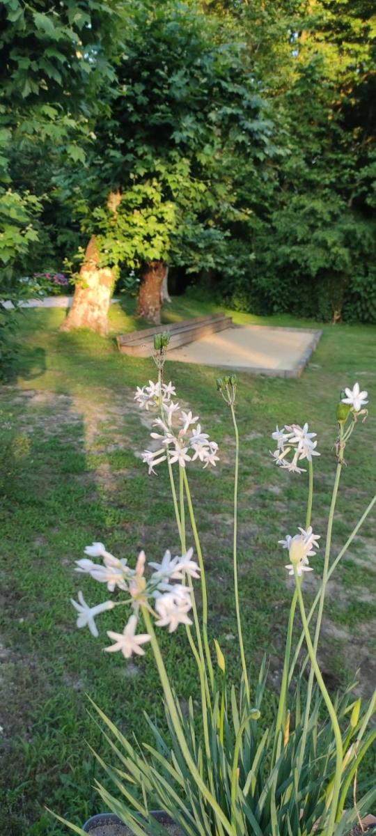 Le Moulin de Saubrigues
