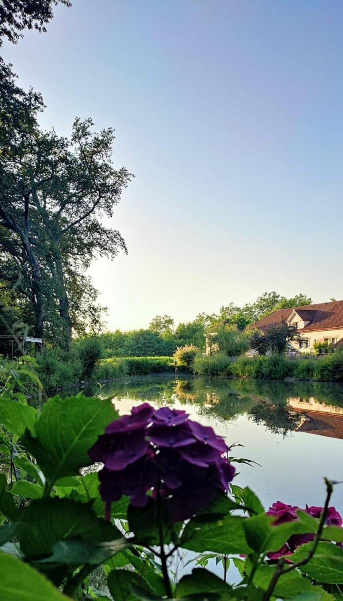 Le Moulin de Saubrigues