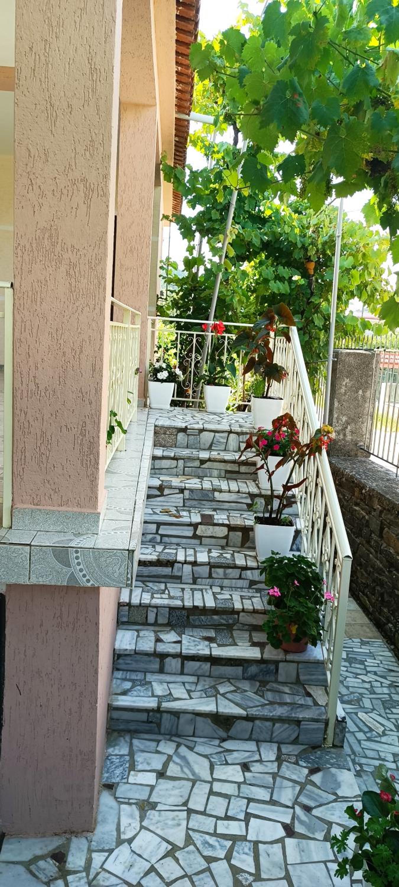 eljos house permet