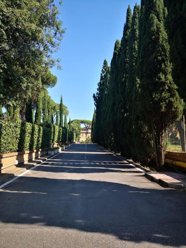 Aurelia City Garden