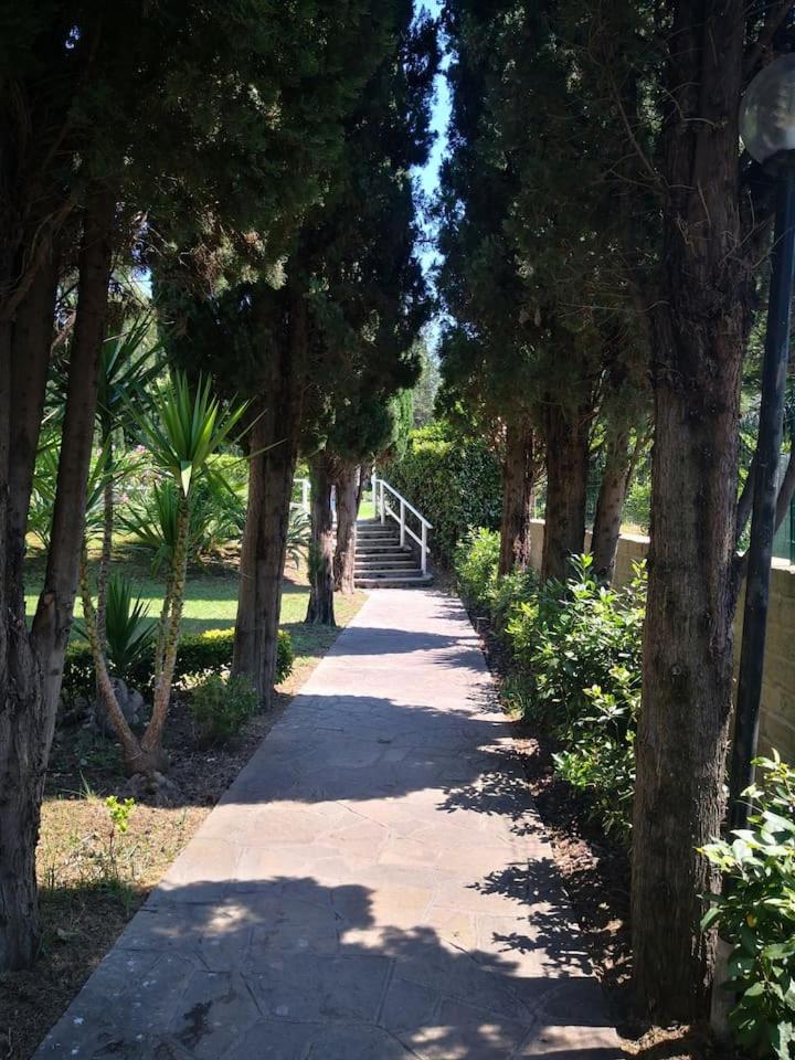 Aurelia City Garden
