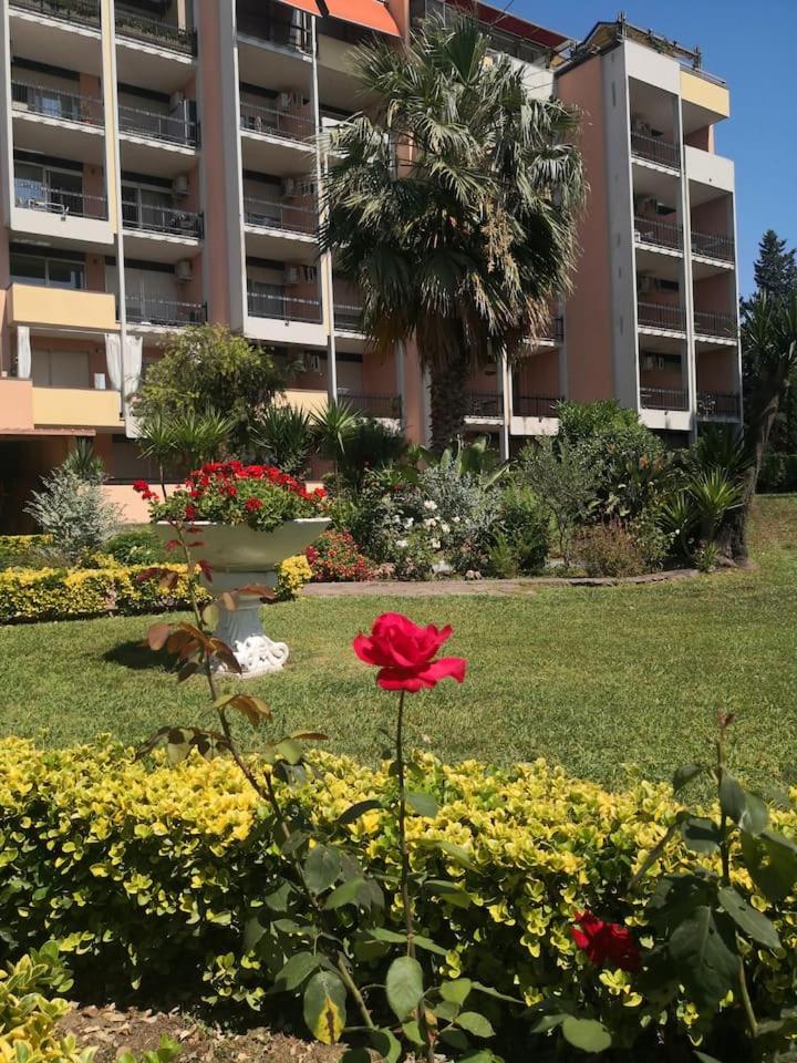 Aurelia City Garden