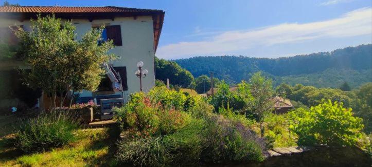 L'Art des Choix view 2