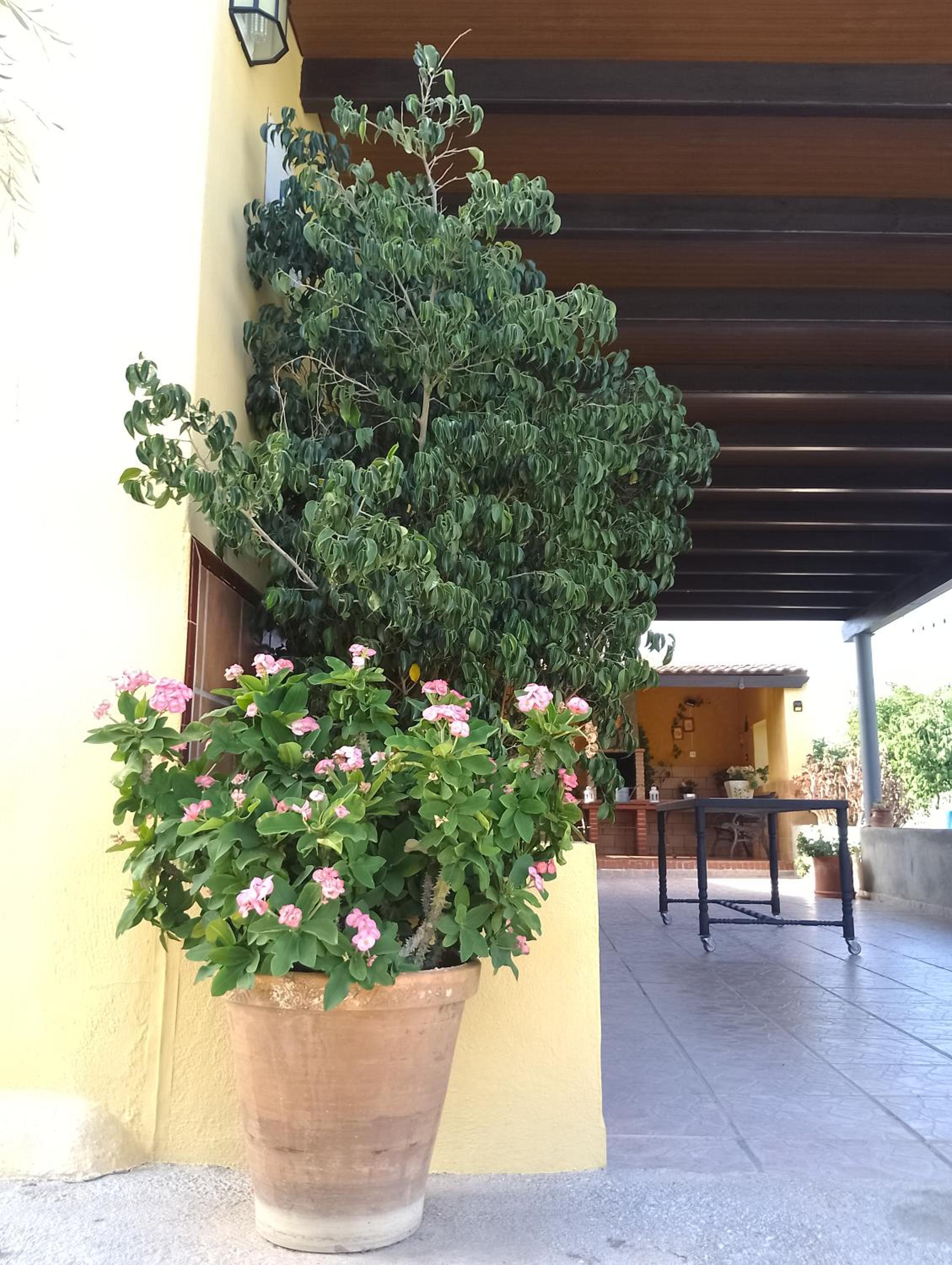Villa Toliso