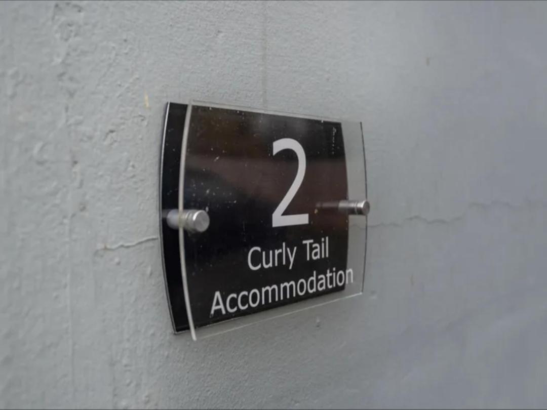 Curly Tail Accommodation