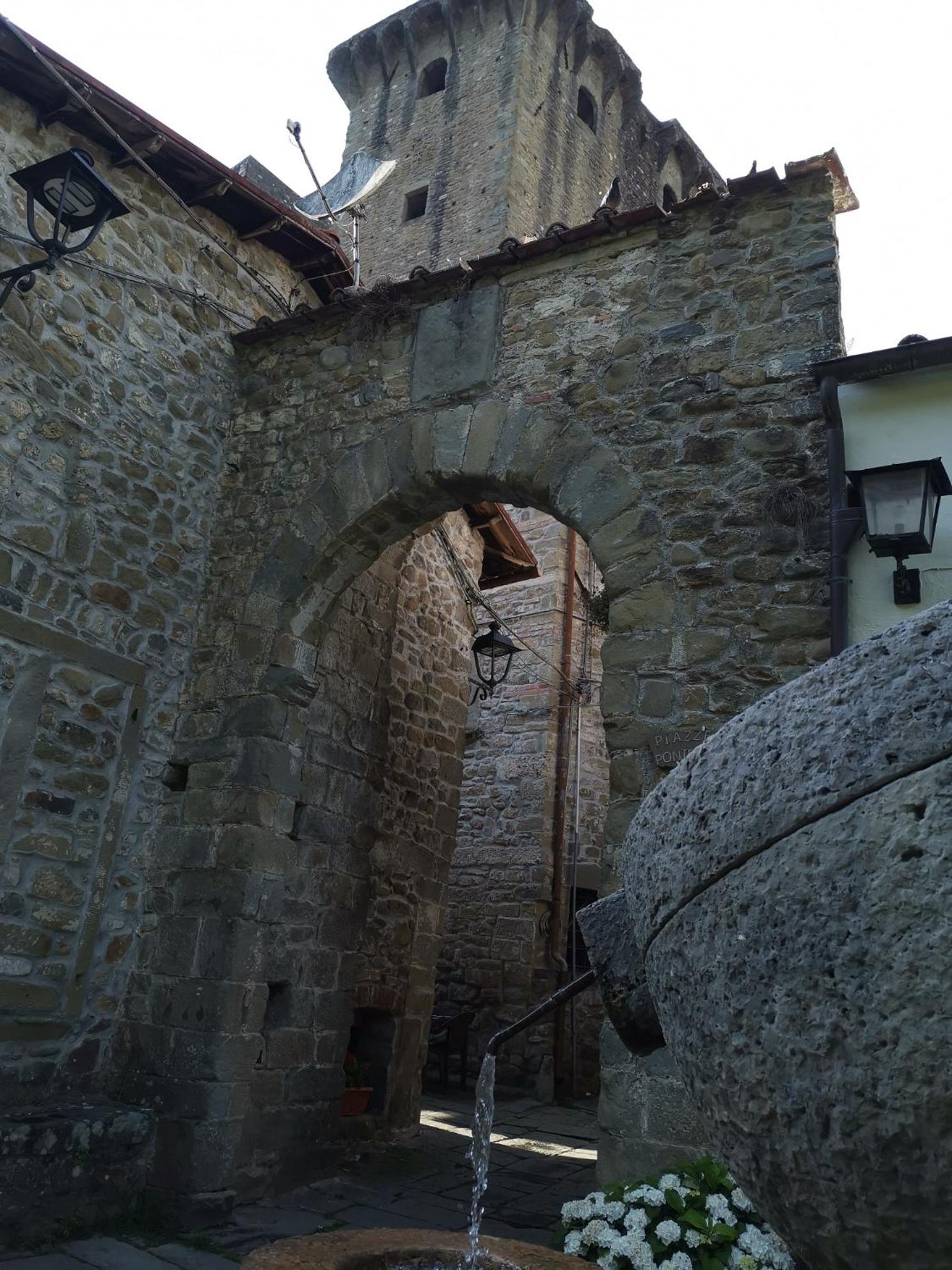 Photo 51