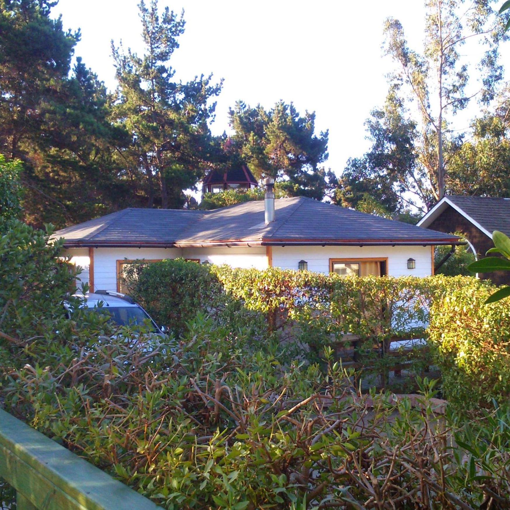 Photo 42