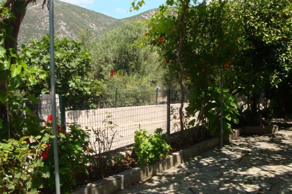 Grapes and Roses view 5