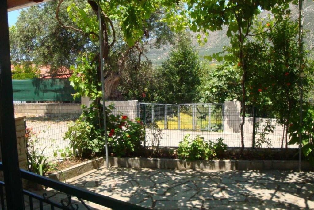 Photo 27