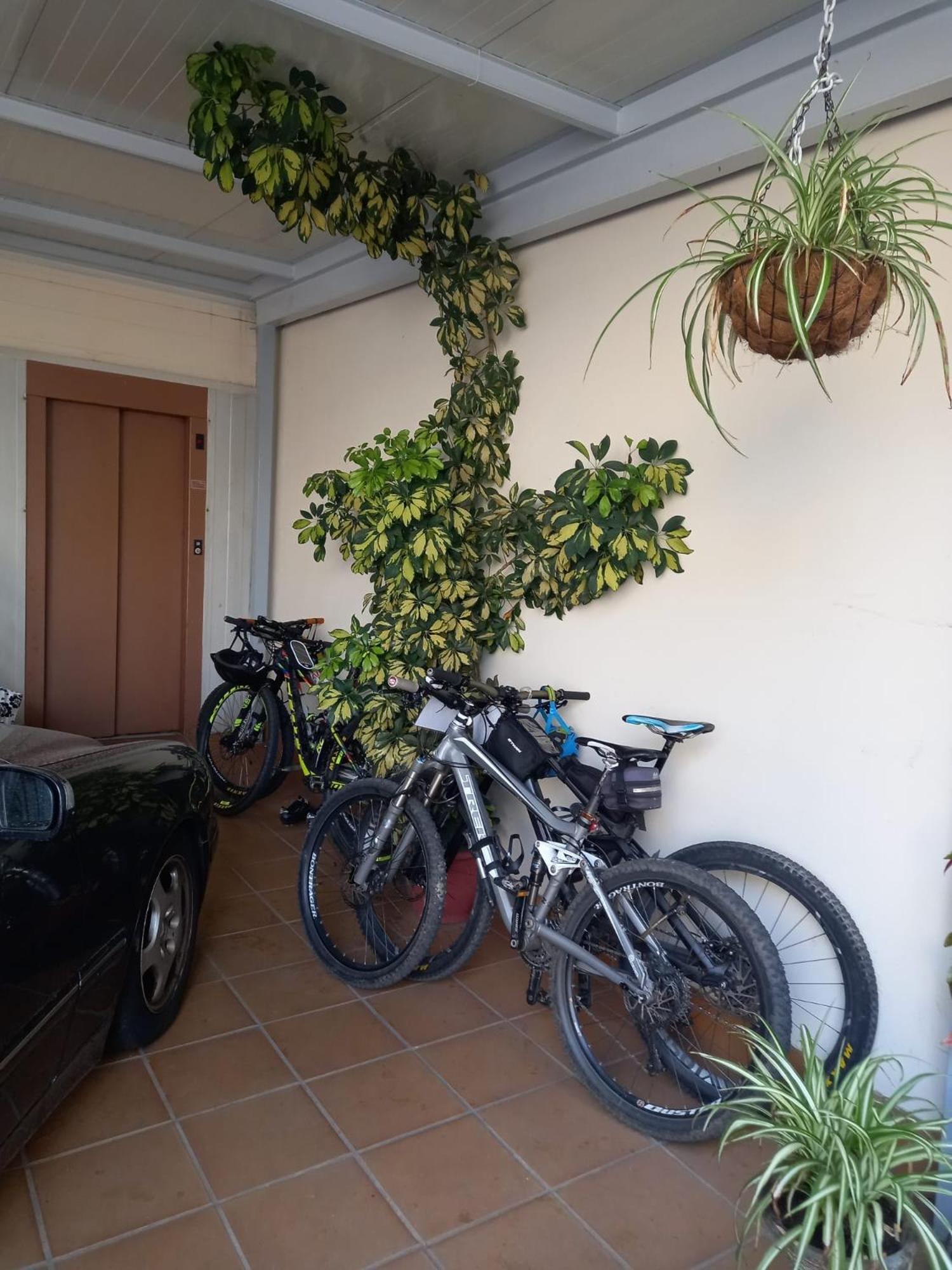Albergue Agarimo, photo 66