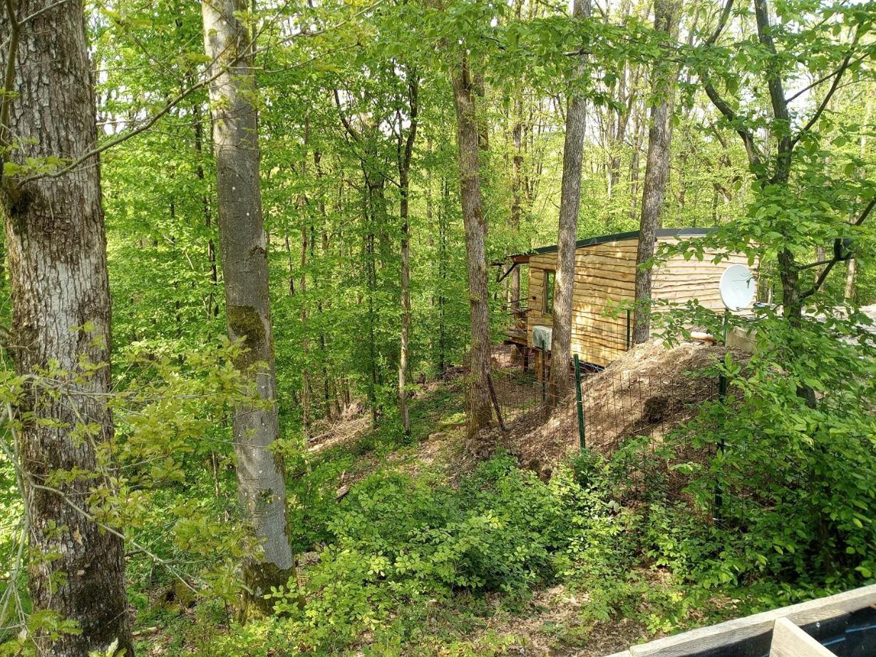 La cabane aux écureuils