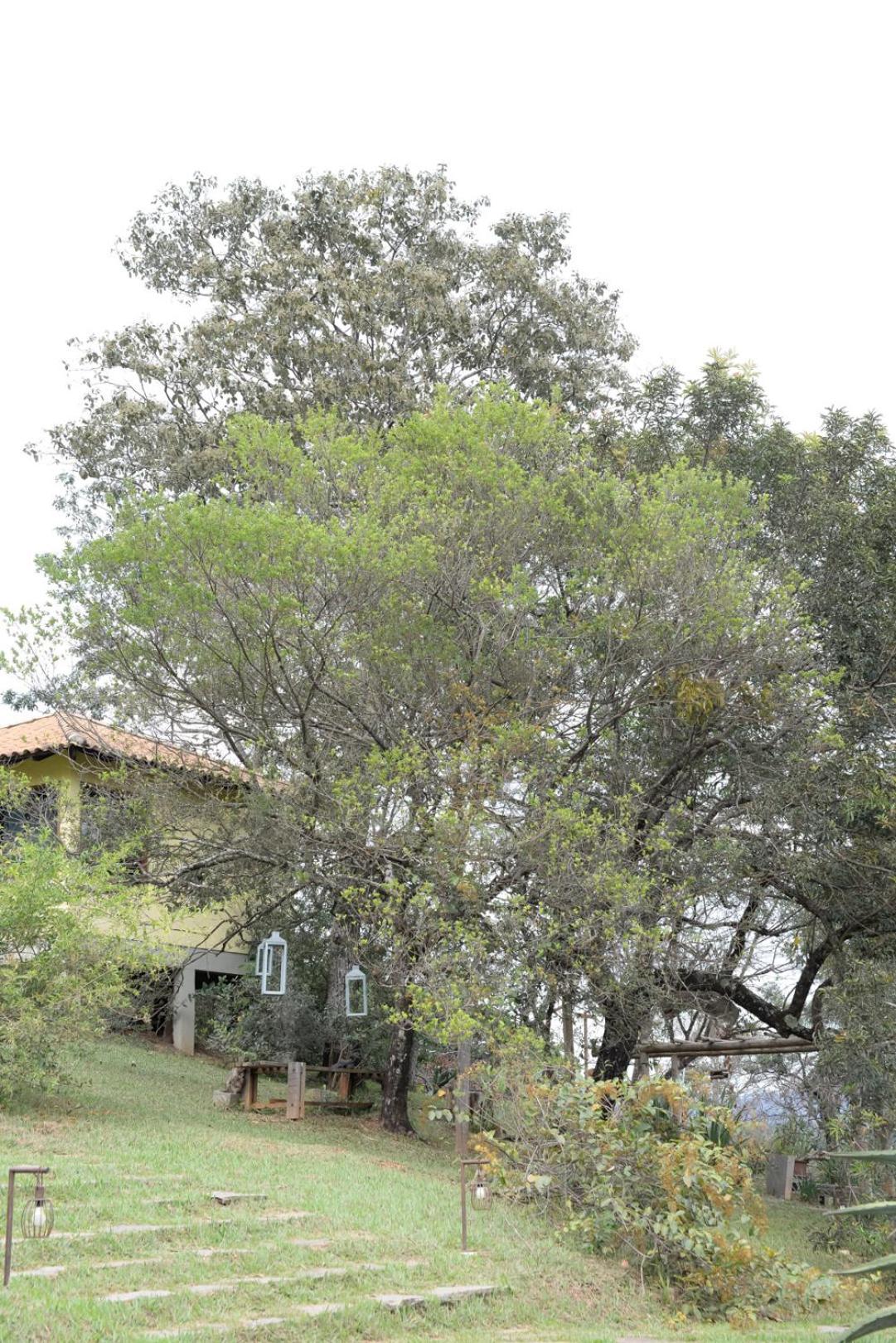 Villa Severina