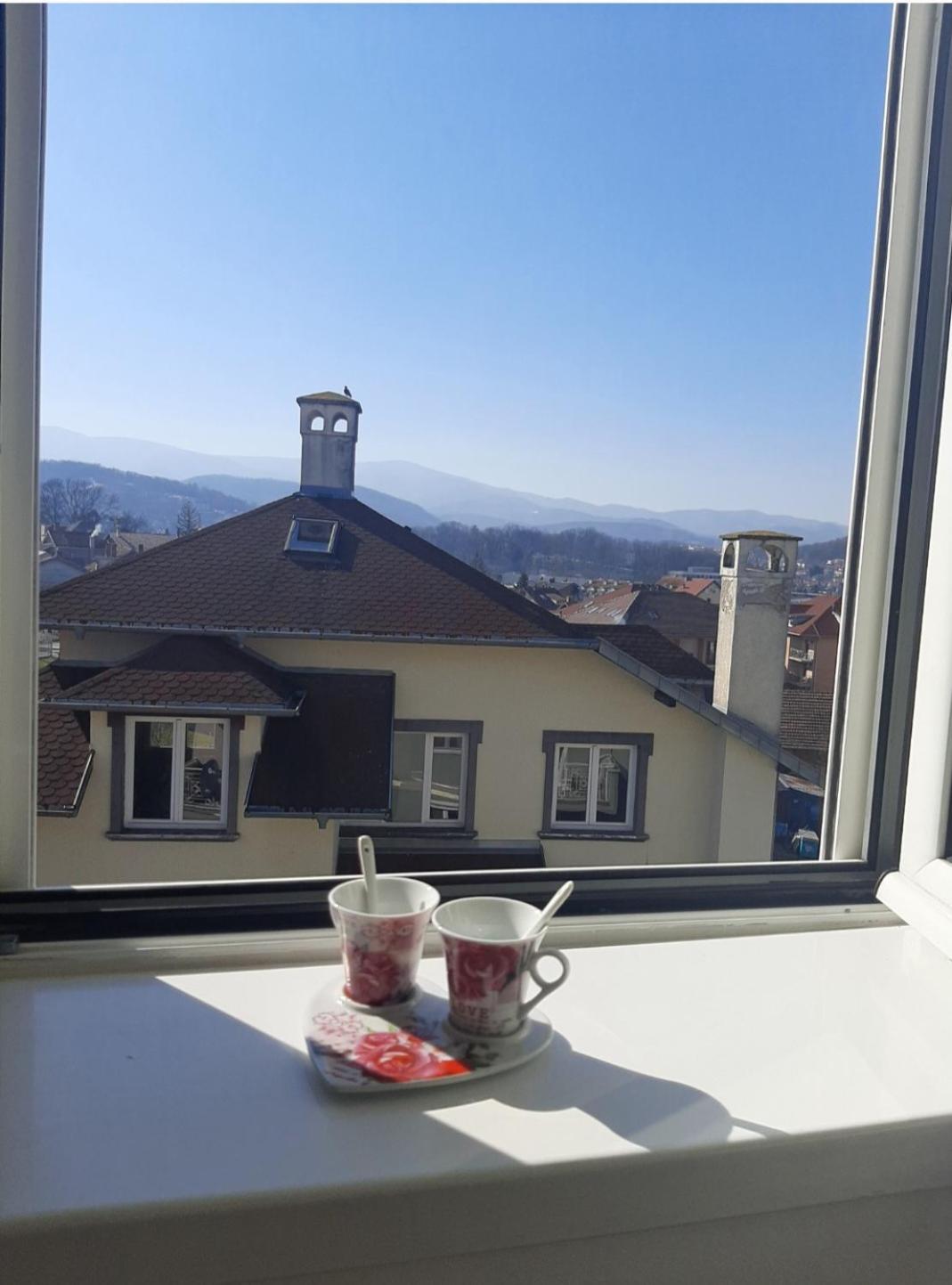 Apartman MILOJEVICI view 5