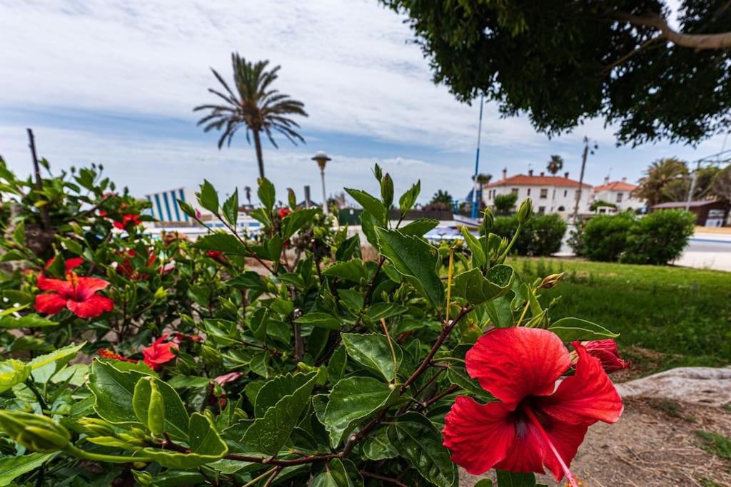 Sea Apartment Torre del Mar