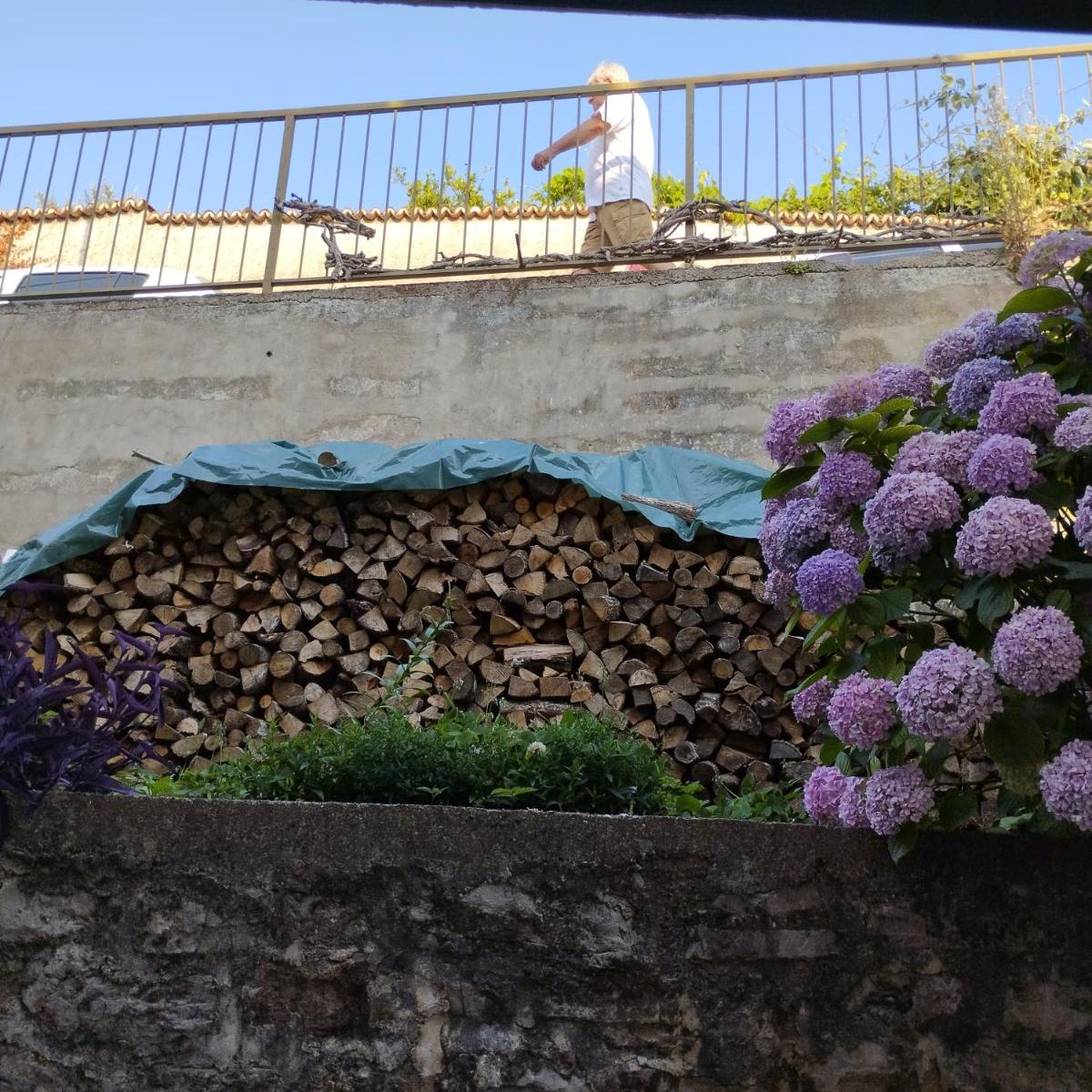 Photo 31