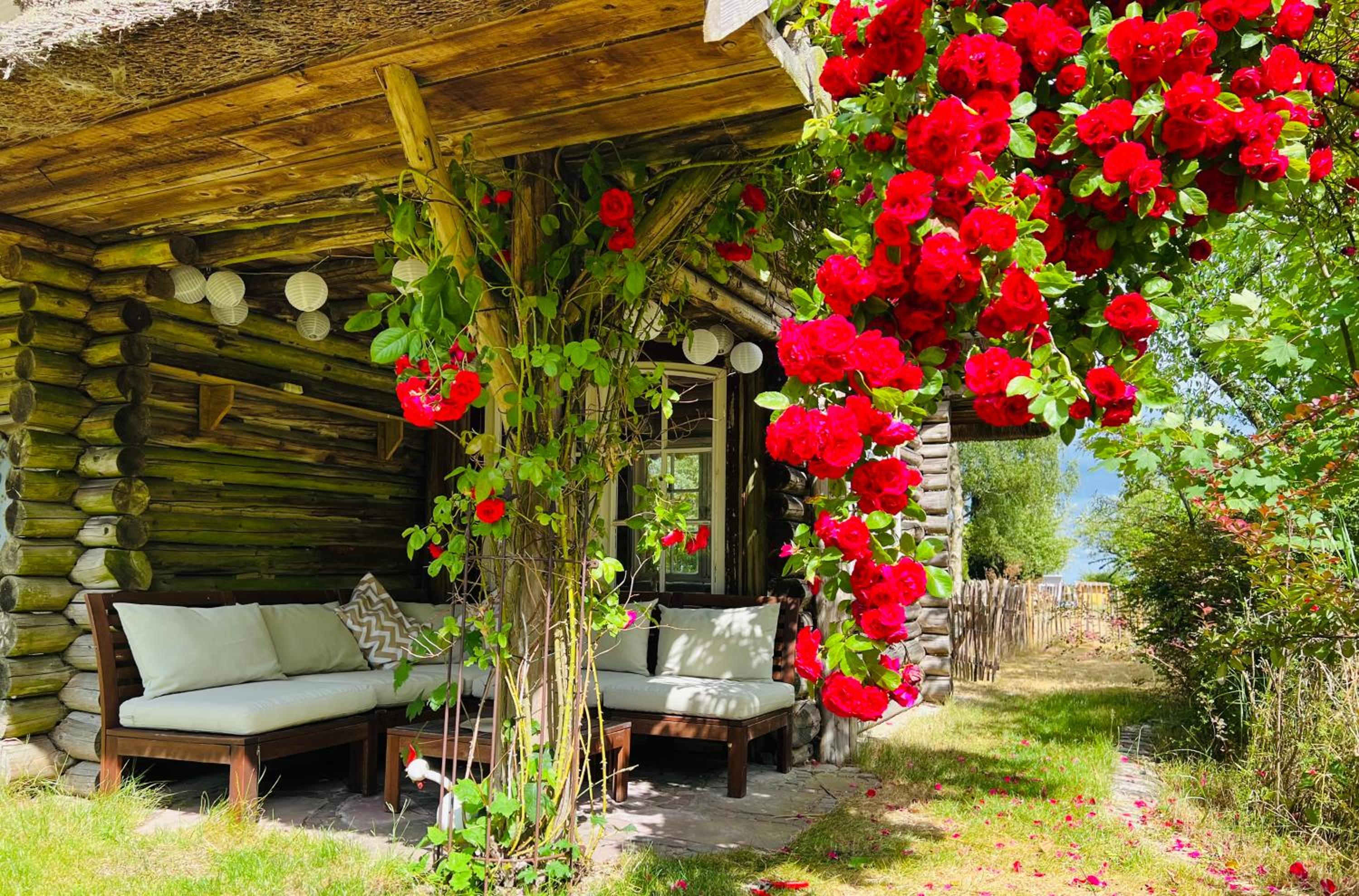 Ferienhaus in idyllischer Lage - Ankommen & durchatmen