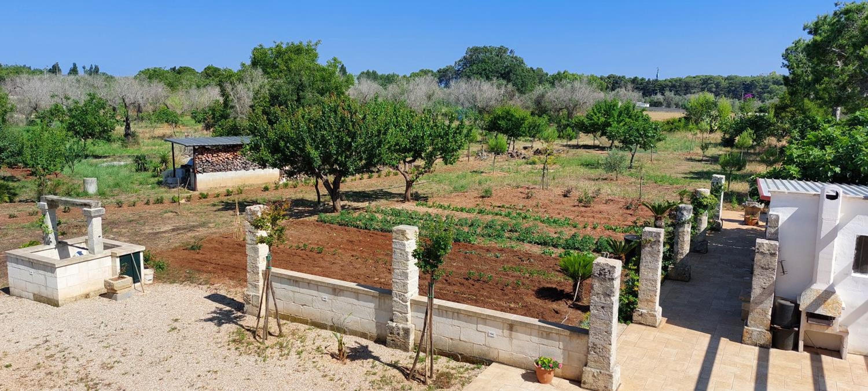 Villa PARADISO - Tra Ulivi e Tramonti da Cartolina