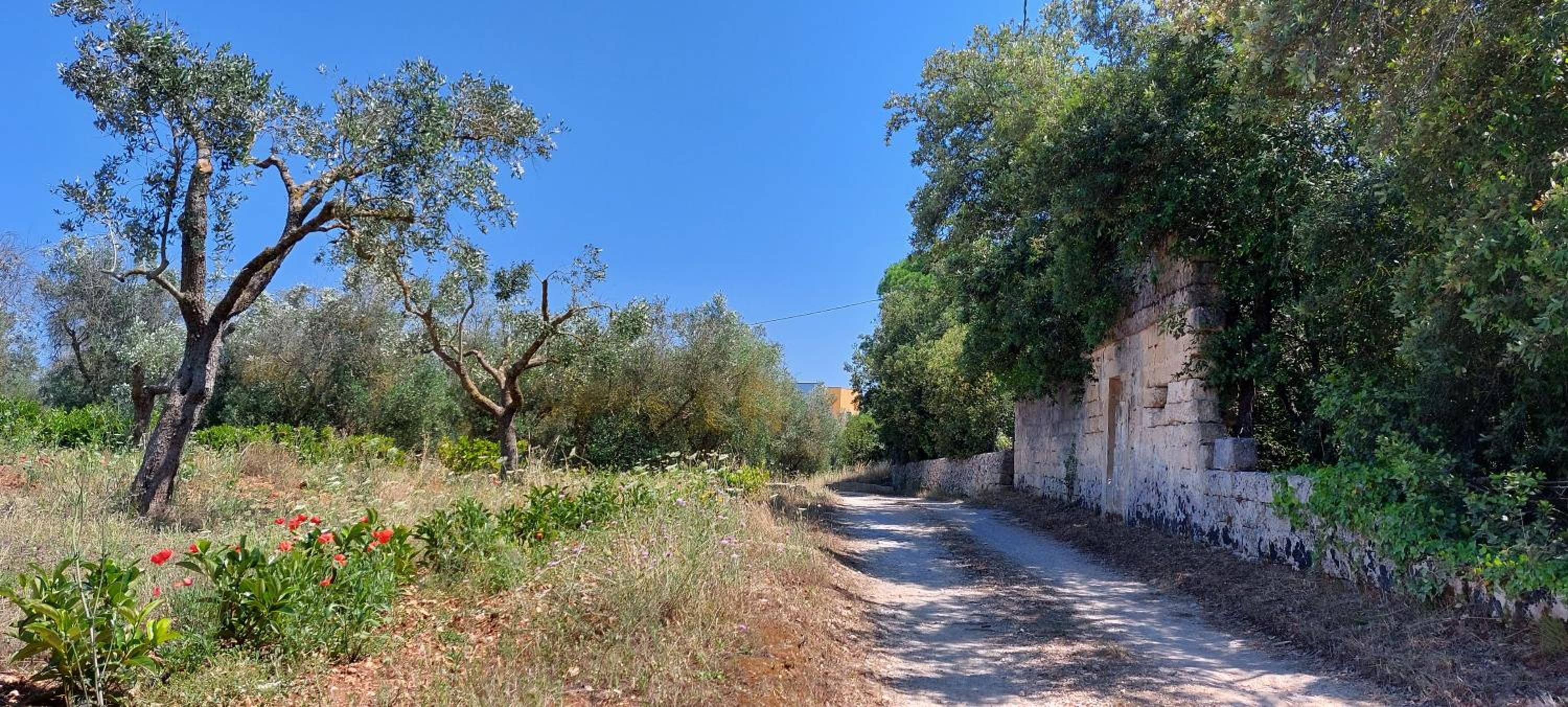 Villa PARADISO - Tra Ulivi e Tramonti da Cartolina