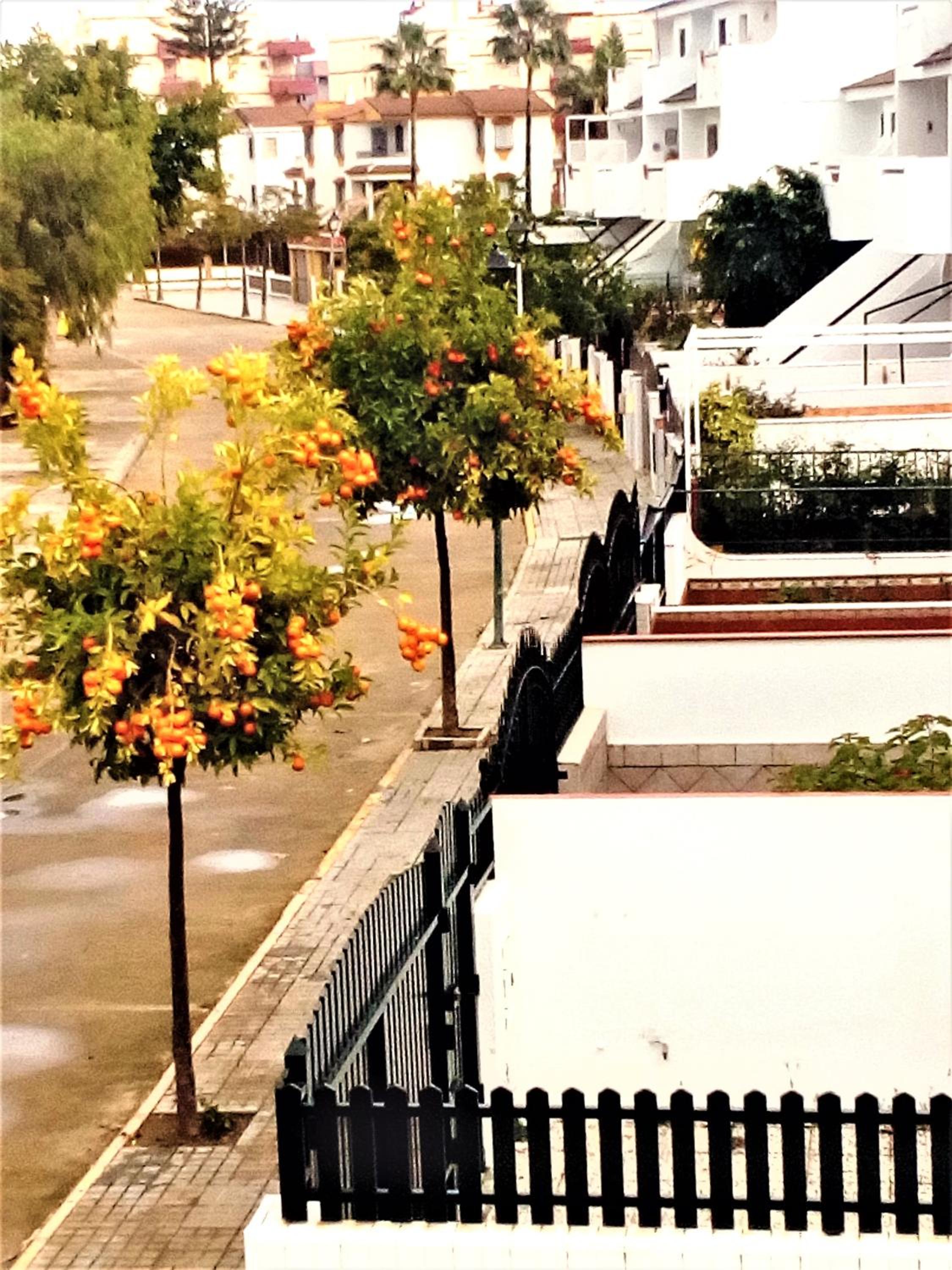 La Antilla-Islantilla-Planta Baja de Vivienda para 7 PAX view 2