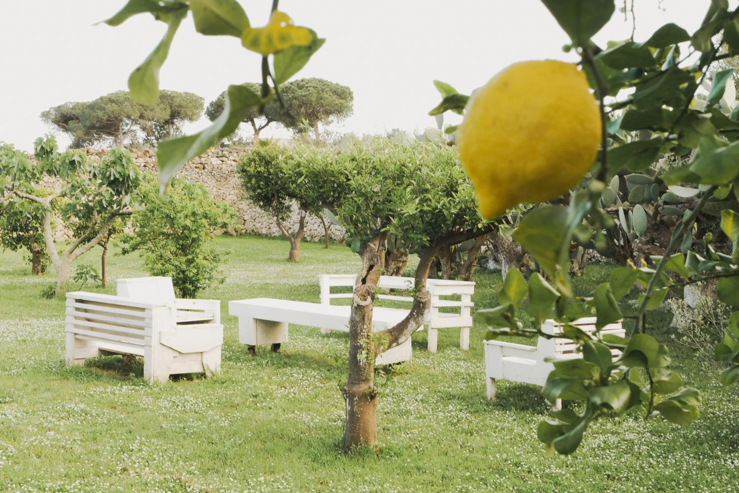 Masseria Paralupi